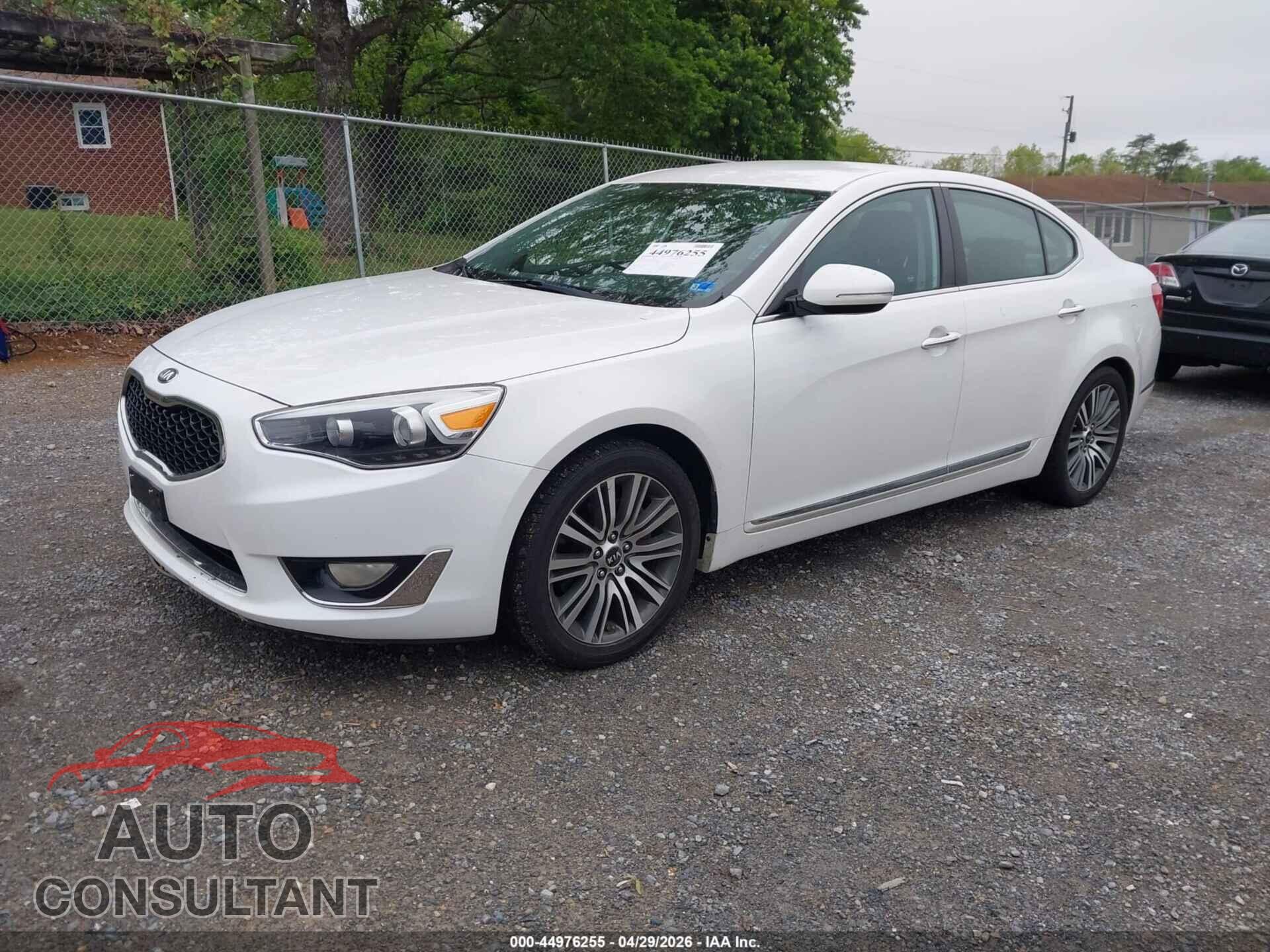 KIA CADENZA 2014 - KNALN4D70E5166751