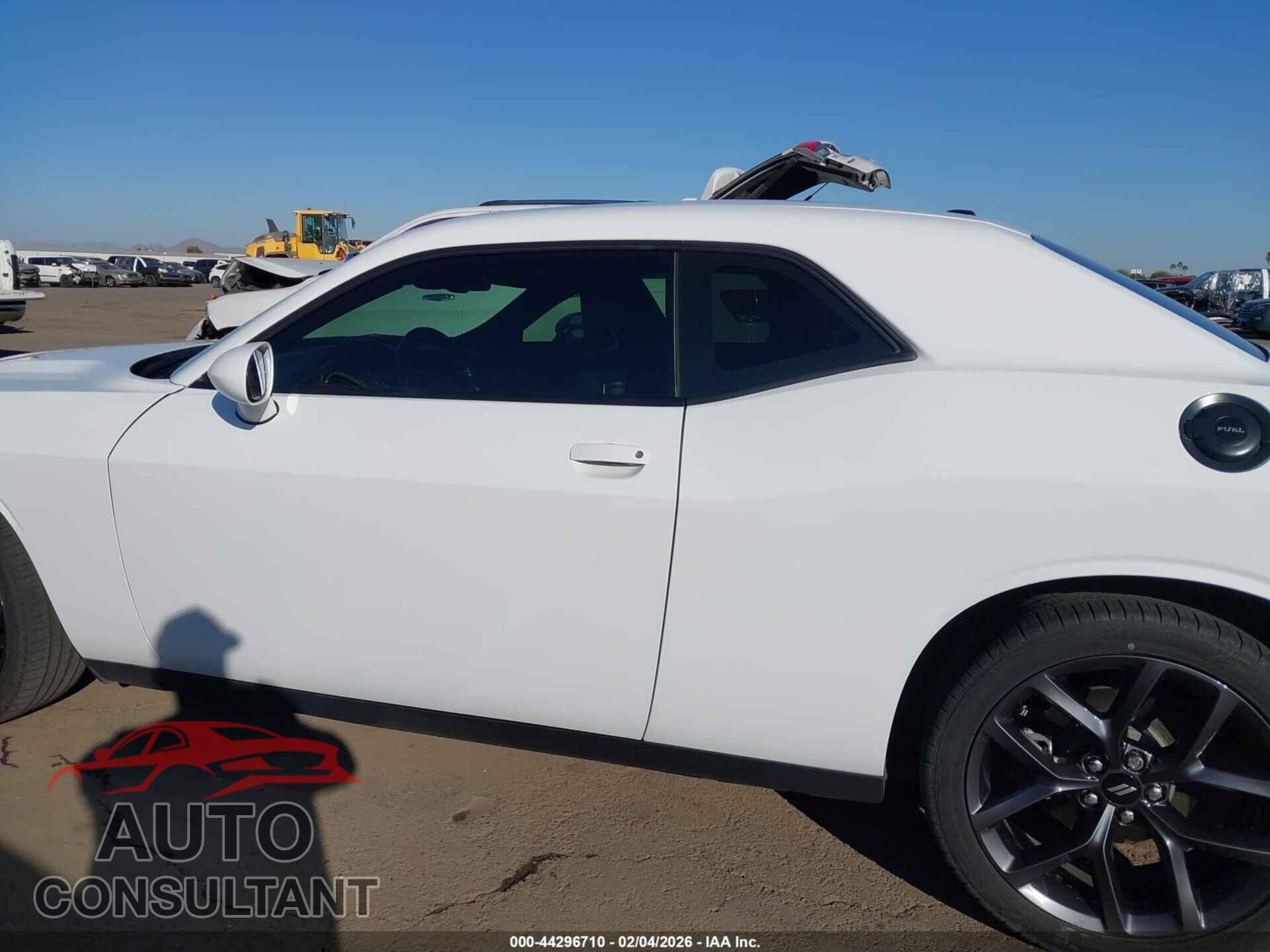 DODGE CHALLENGER 2019 - 2C3CDZAG9KH557798