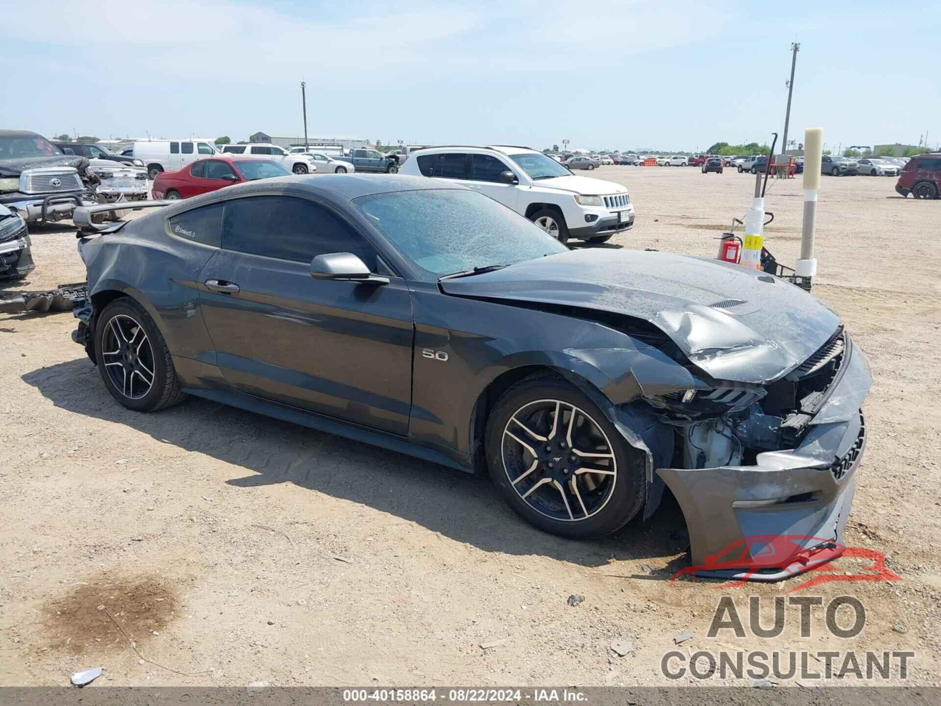 FORD MUSTANG 2019 - 1FA6P8CF9K5204277