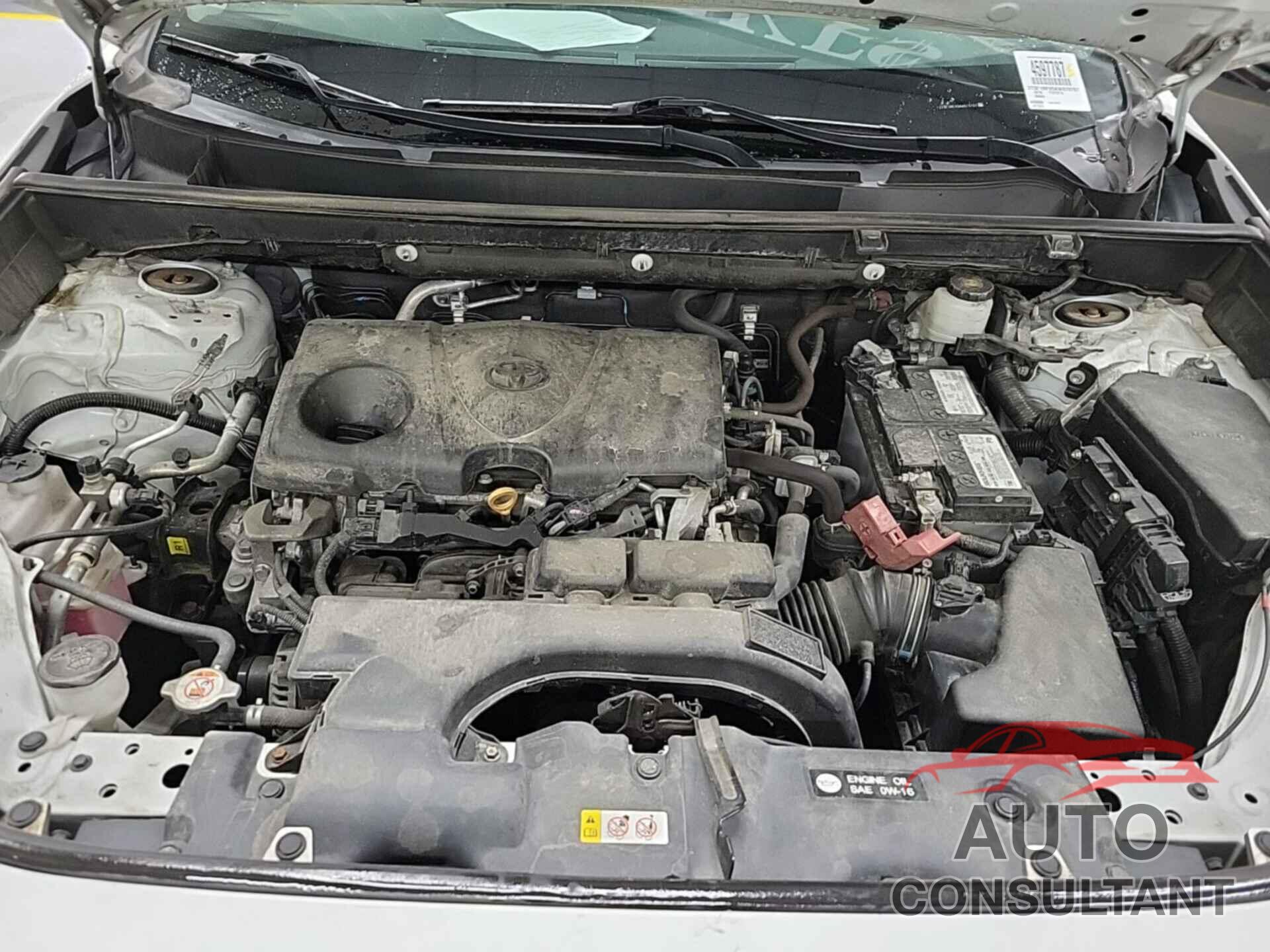 TOYOTA RAV4 2019 - 2T3F1RFV5KW070767