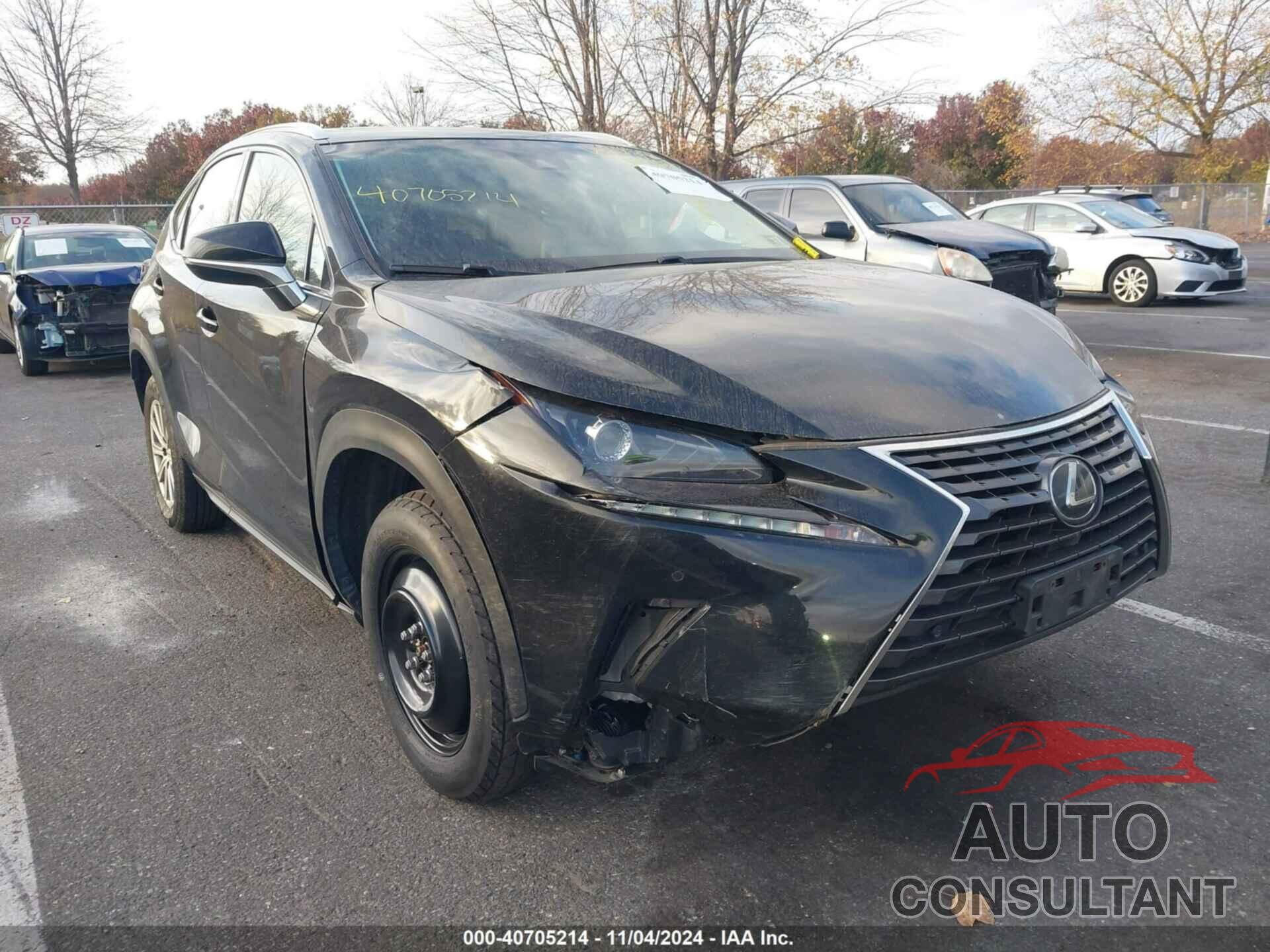 LEXUS NX 300 2019 - JTJBARBZ0K2205232