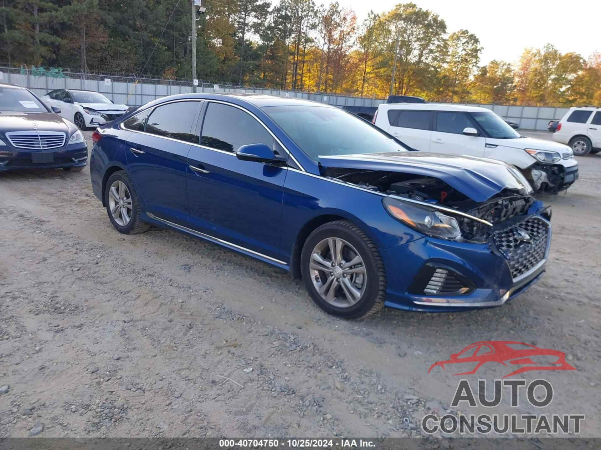 HYUNDAI SONATA 2019 - 5NPE34AF5KH729303