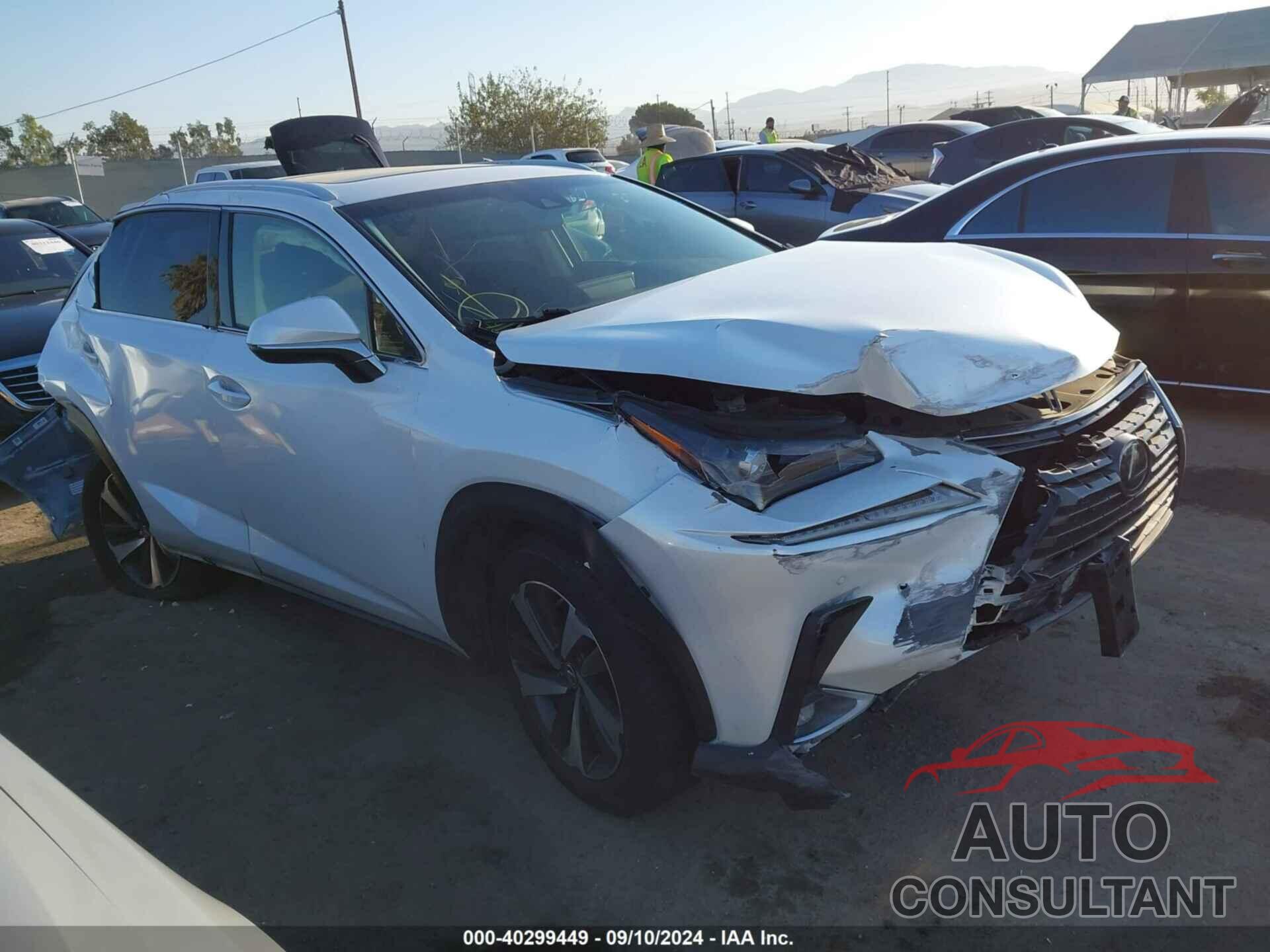 LEXUS NX 300 2019 - JTJYARBZ2K2123657