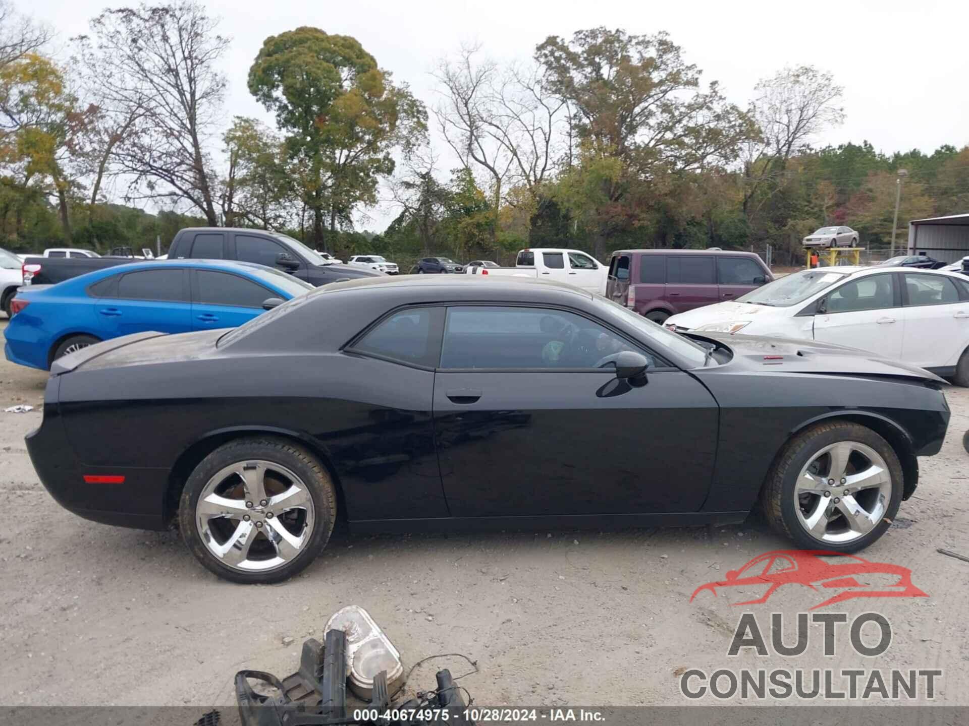 DODGE CHALLENGER 2013 - 2C3CDYBT8DH676127