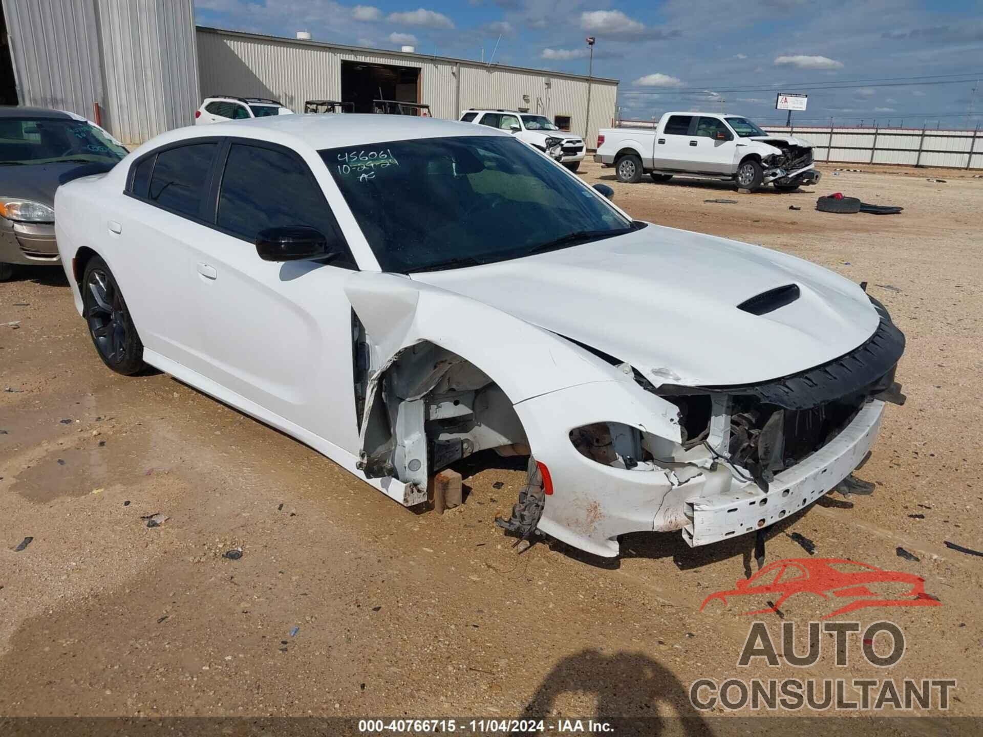 DODGE CHARGER 2019 - 2C3CDXHG9KH611465