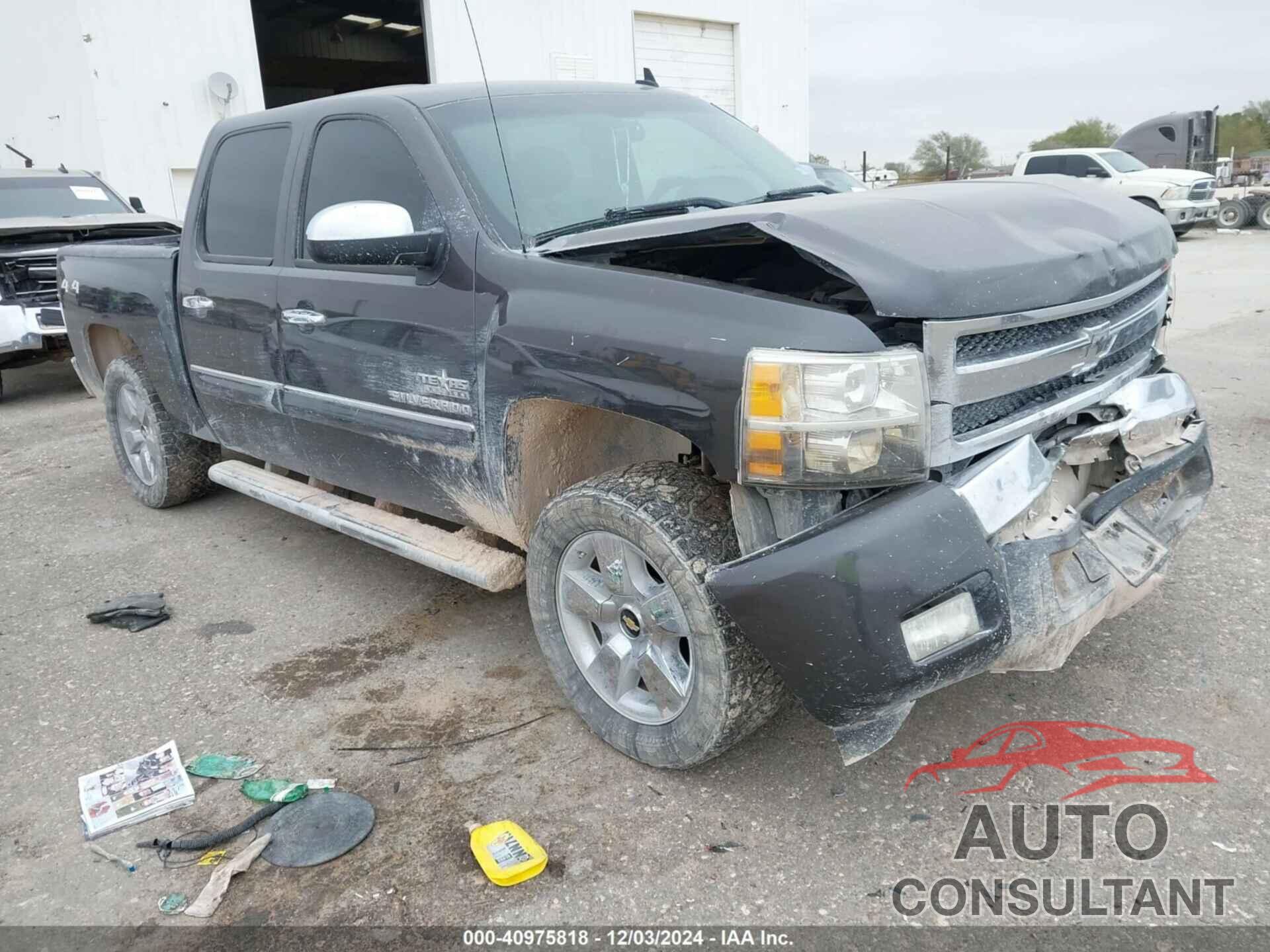 CHEVROLET SILVERADO 1500 2010 - 3GCRCSE0XAG228684