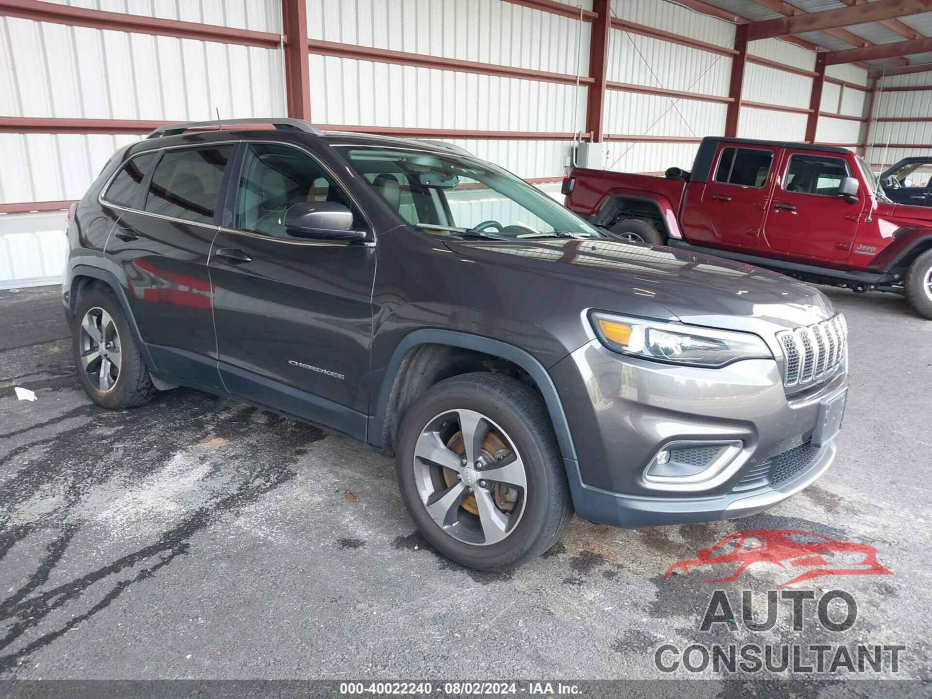 JEEP CHEROKEE 2019 - 1C4PJMDN3KD252166