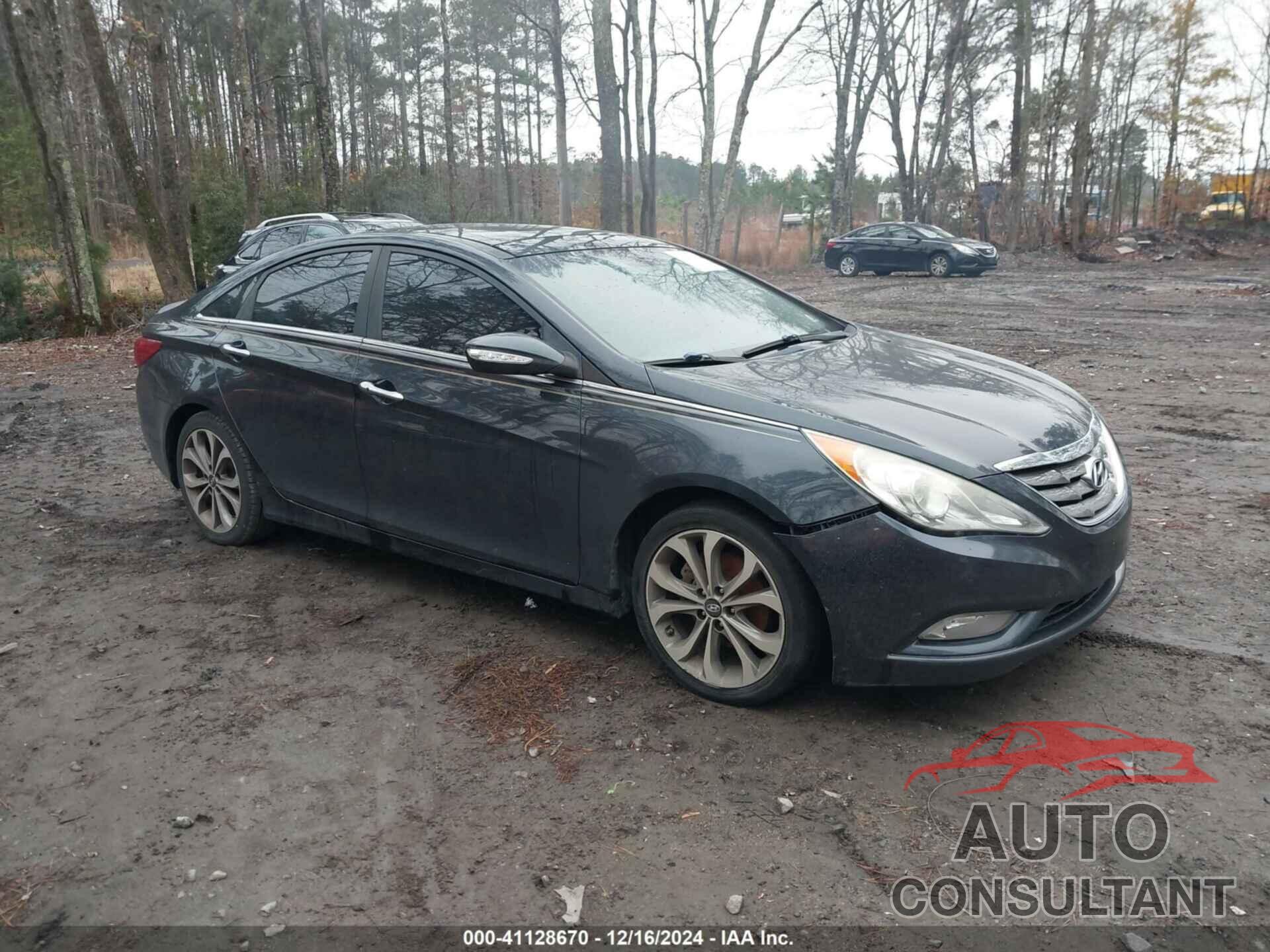 HYUNDAI SONATA 2013 - 5NPEC4AB3DH703590