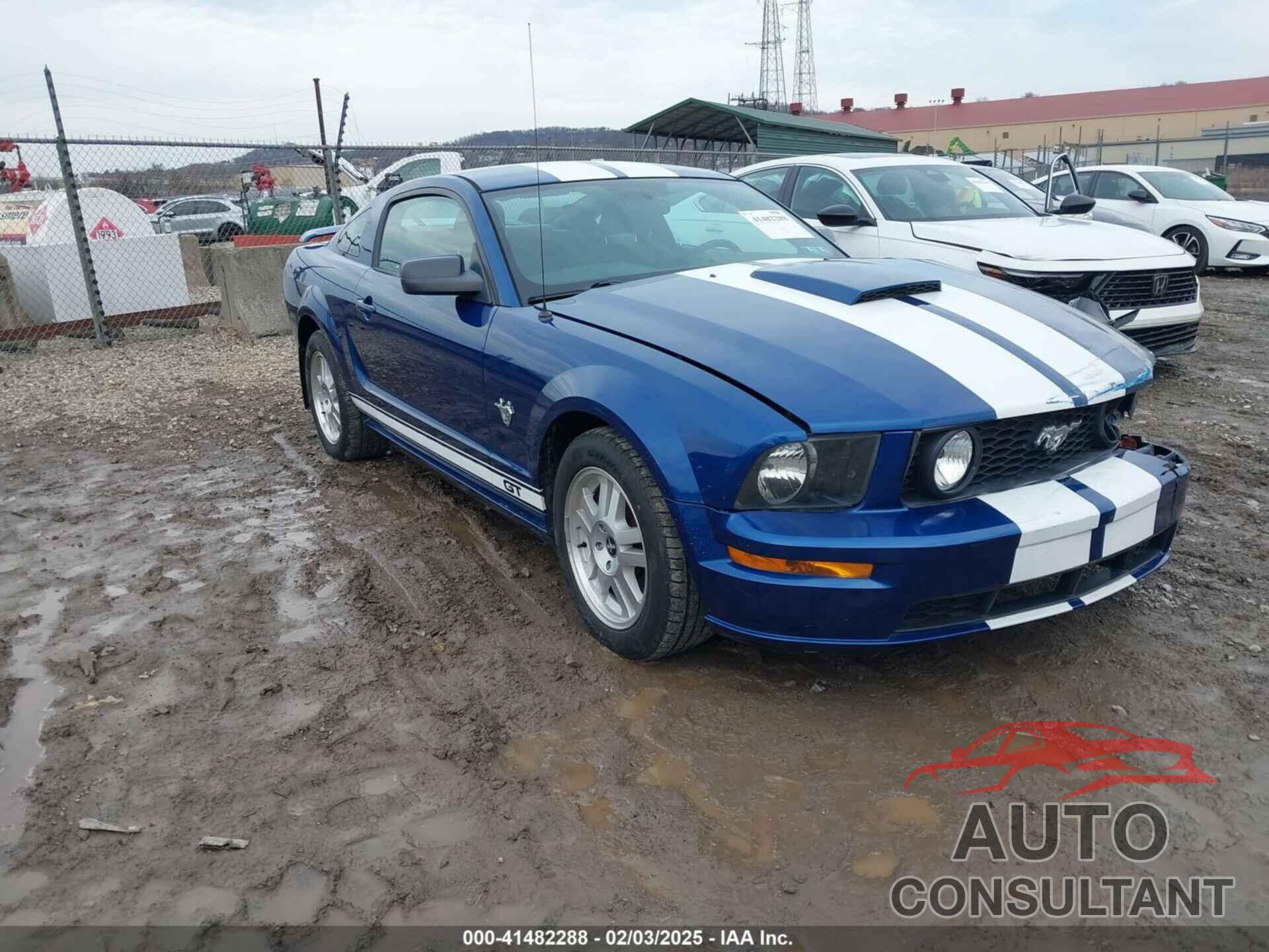 FORD MUSTANG 2009 - 1ZVHT82HX95119781
