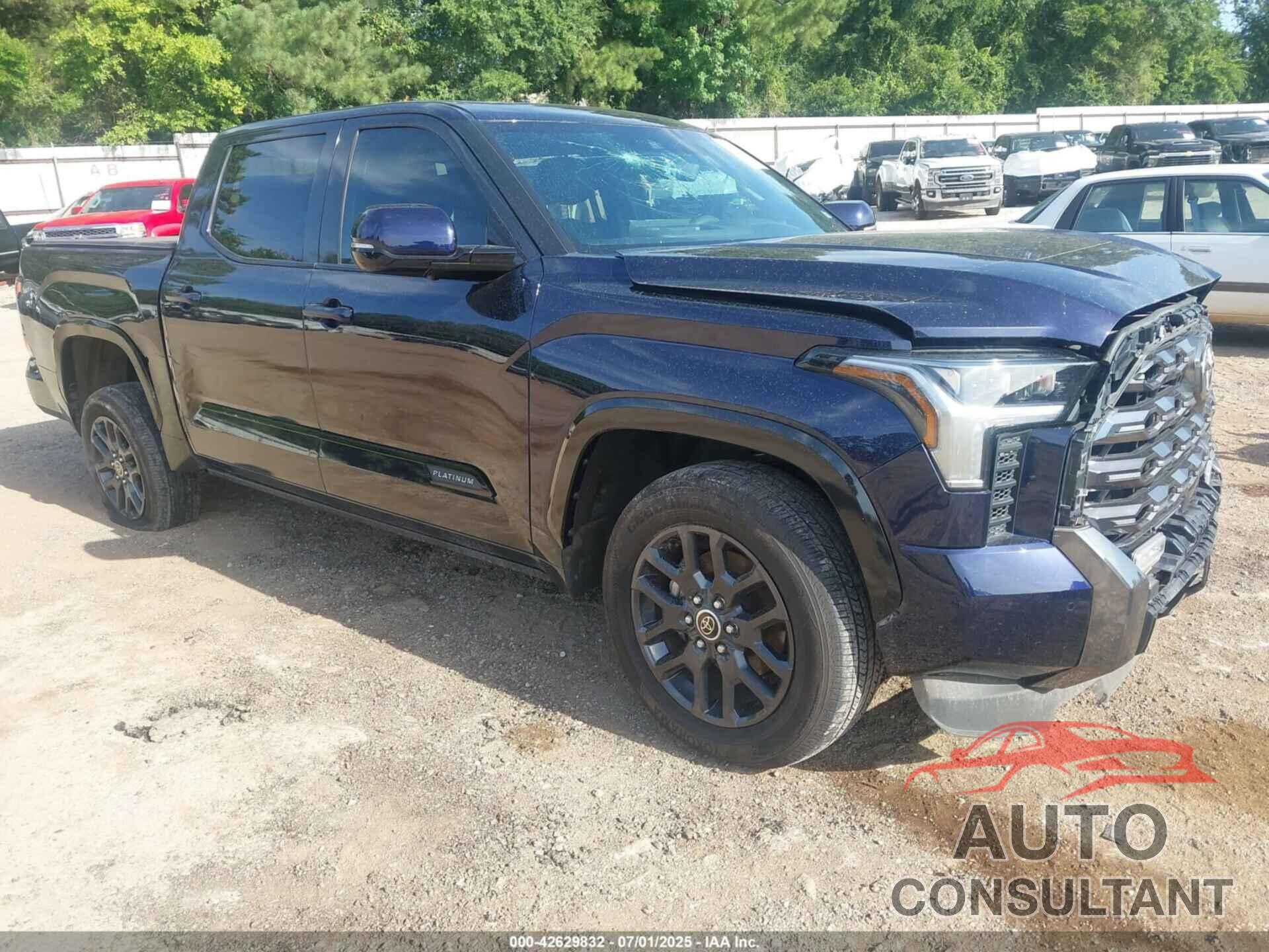 TOYOTA TUNDRA 2023 - 5TFNA5DB9PX113121