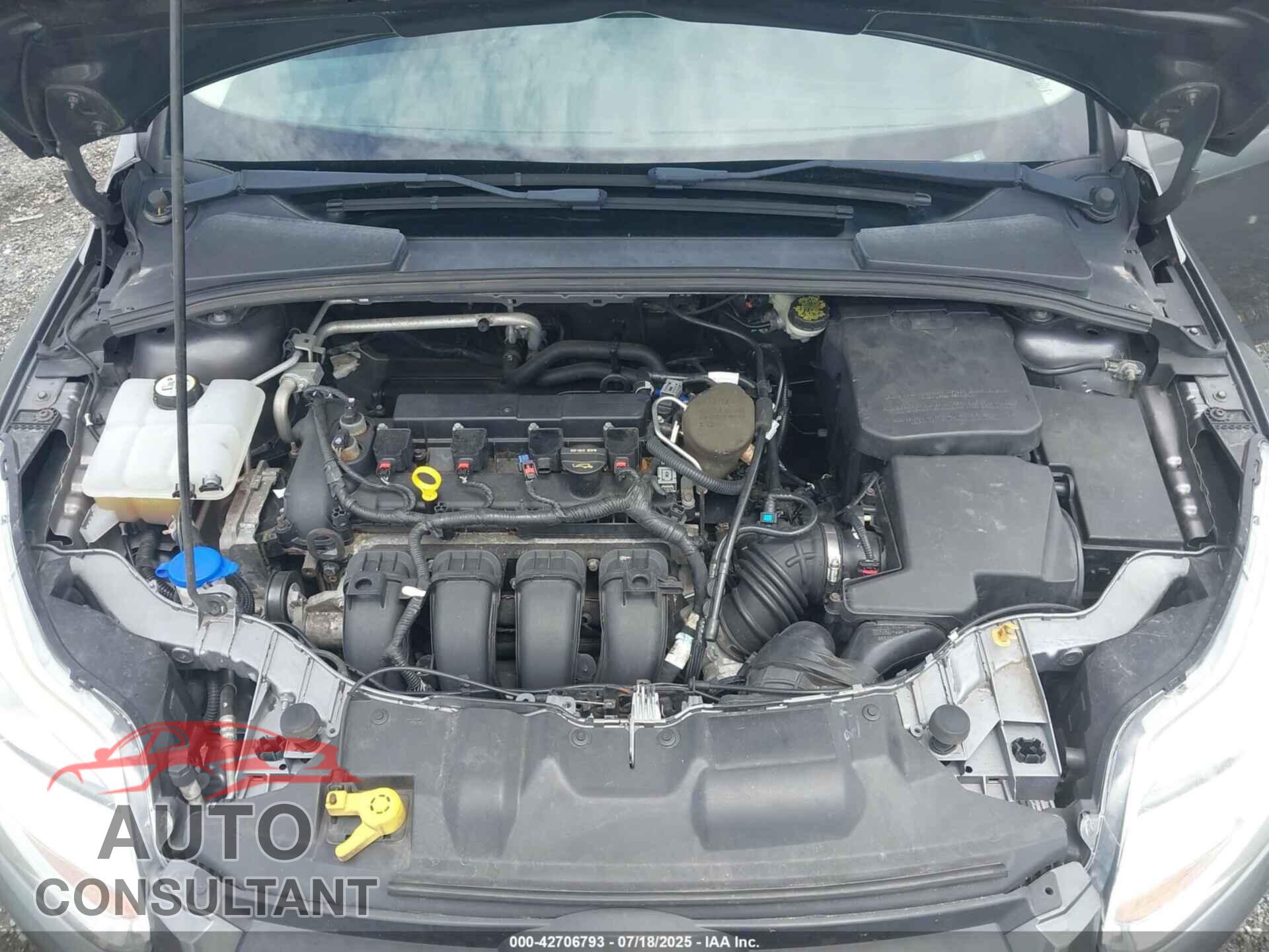 FORD FOCUS 2014 - 1FADP3F29EL202287