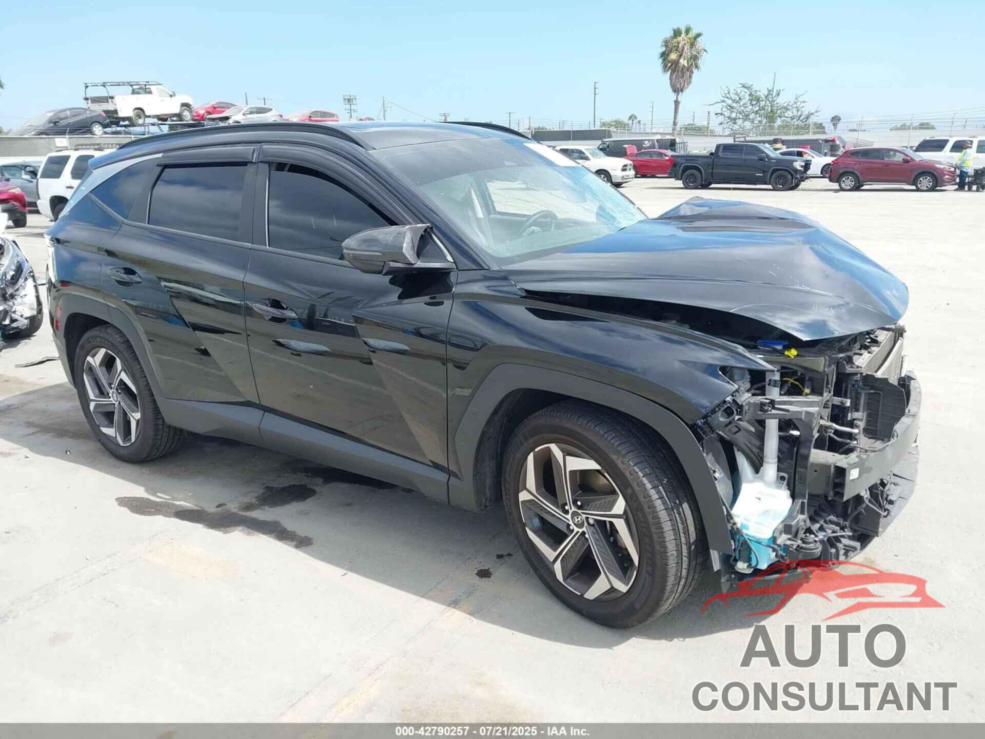 HYUNDAI TUCSON 2023 - 5NMJF3AE6PH267278