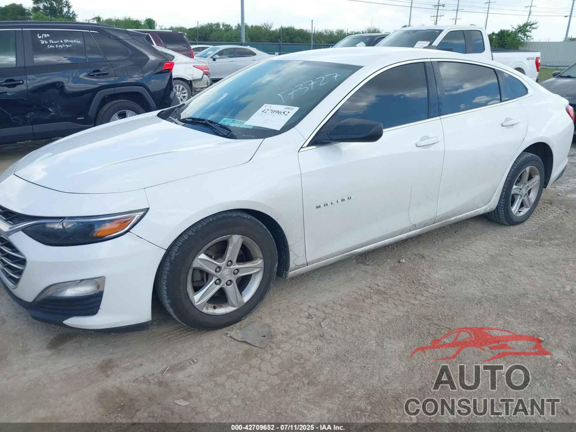 CHEVROLET MALIBU 2019 - 1G1ZB5ST2KF173727