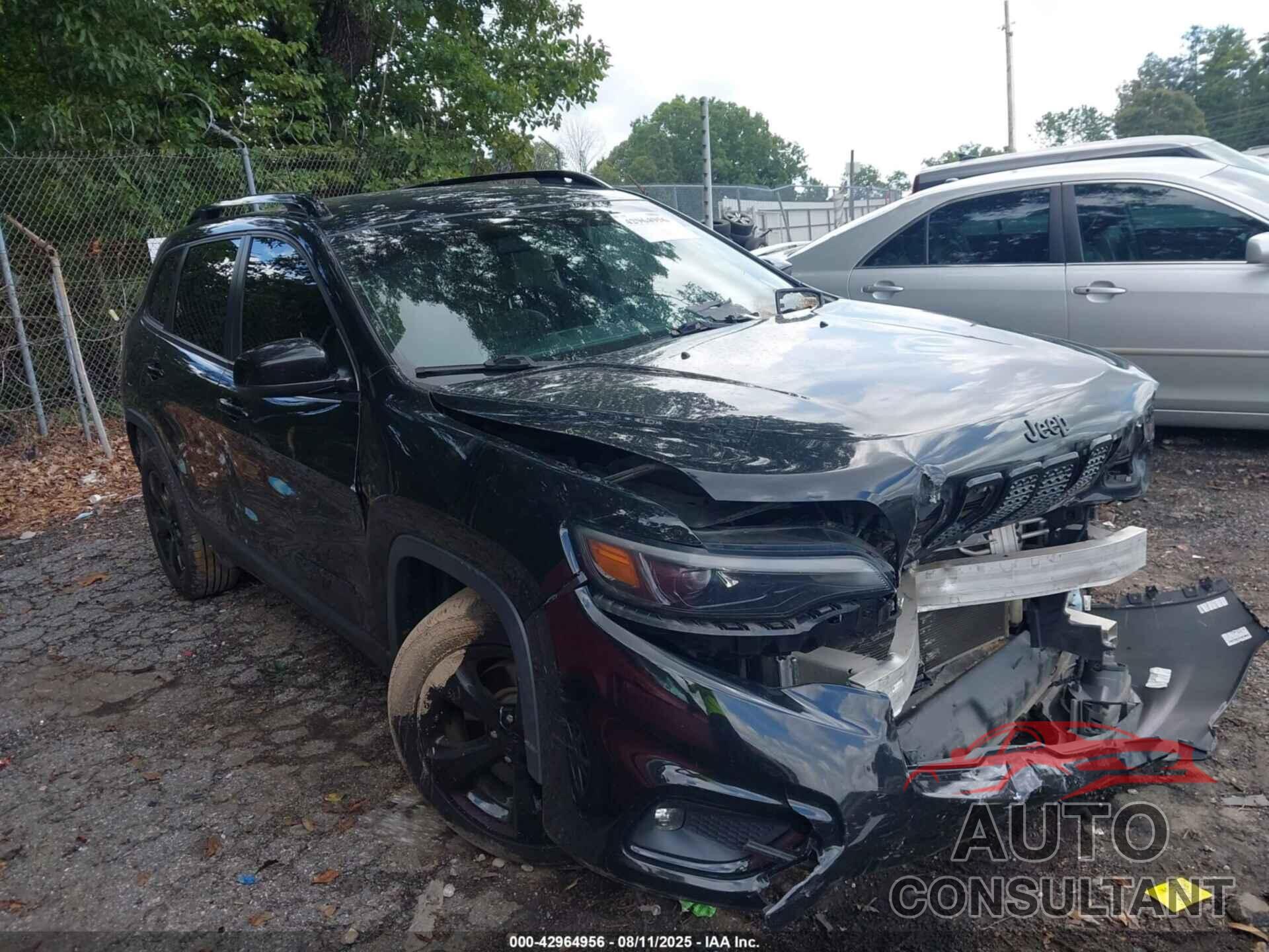 JEEP CHEROKEE 2019 - 1C4PJLLB4KD443676