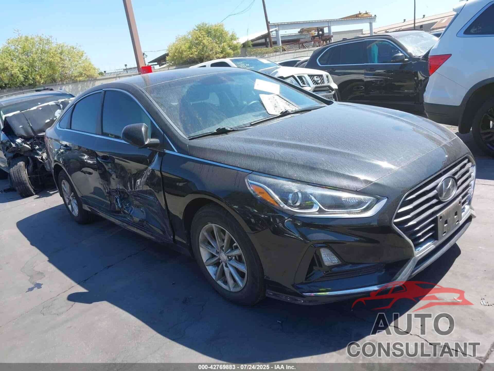 HYUNDAI SONATA 2019 - 5NPE24AF0KH760784