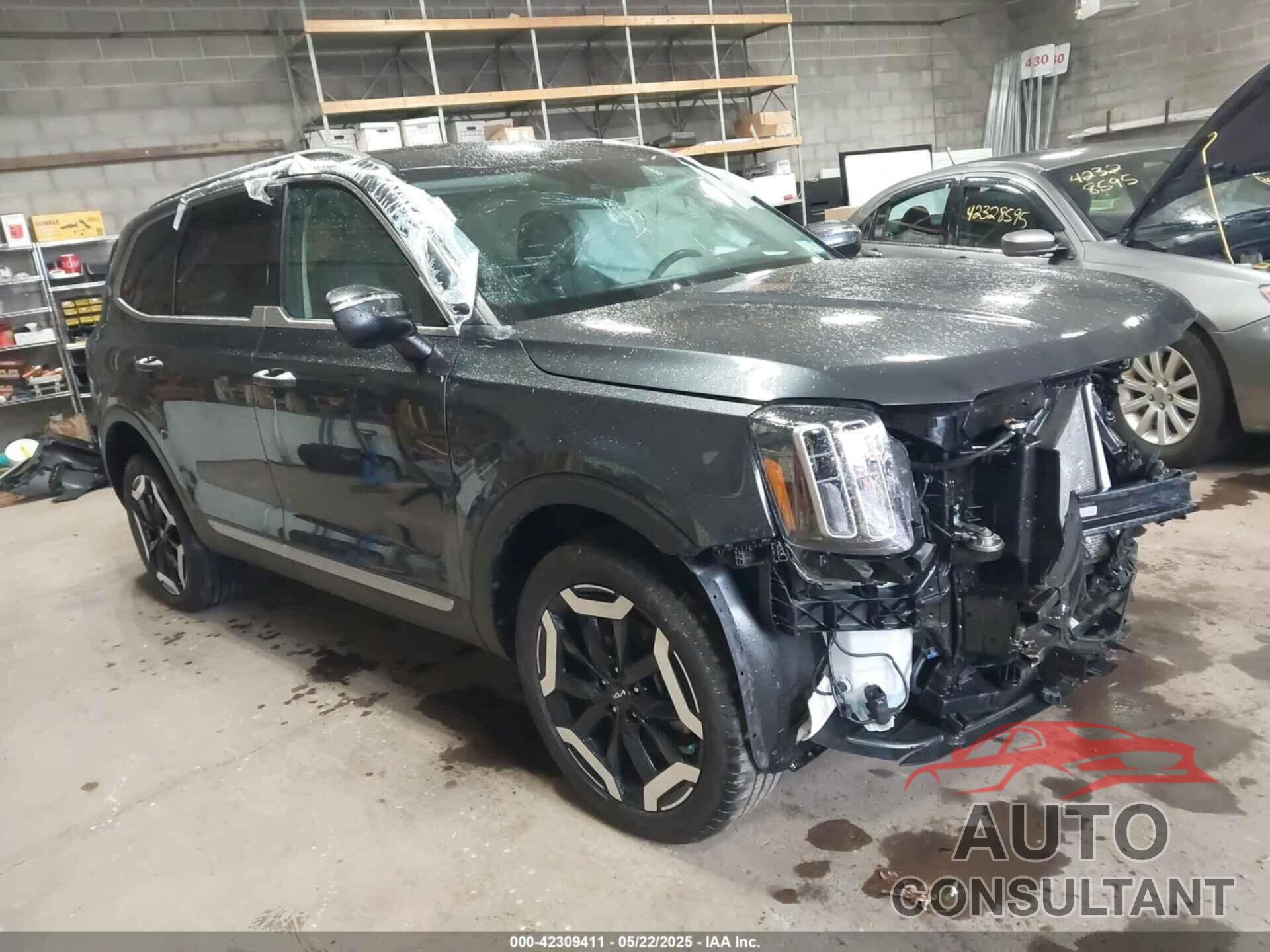KIA TELLURIDE 2024 - 5XYP6DGC9RG481460