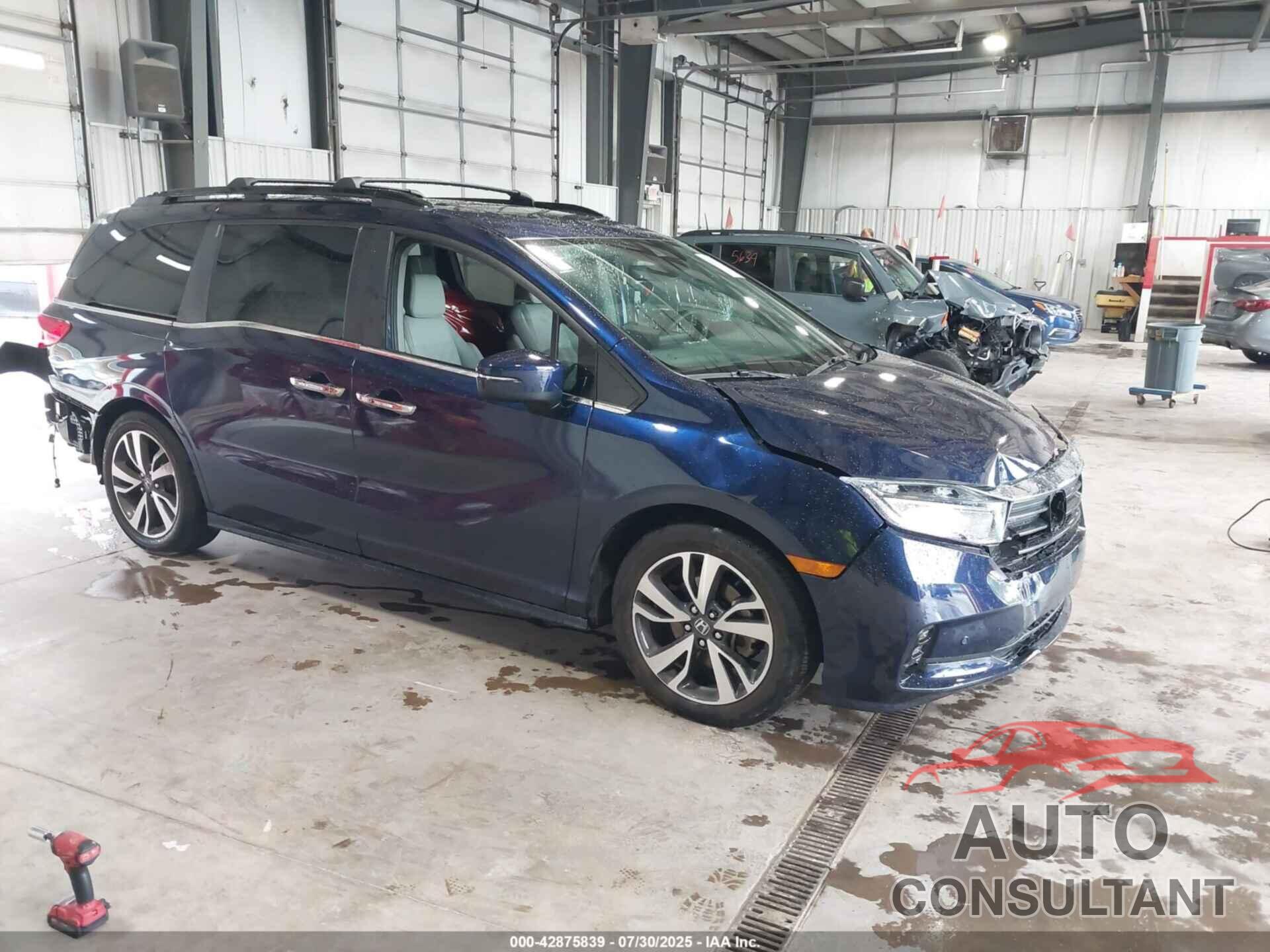 HONDA ODYSSEY 2024 - 5FNRL6H86RB044143