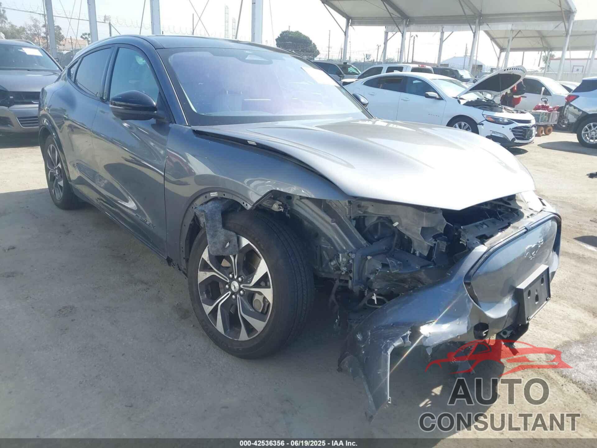 FORD MUSTANG MACH-E 2021 - 3FMTK3R77MMA21256