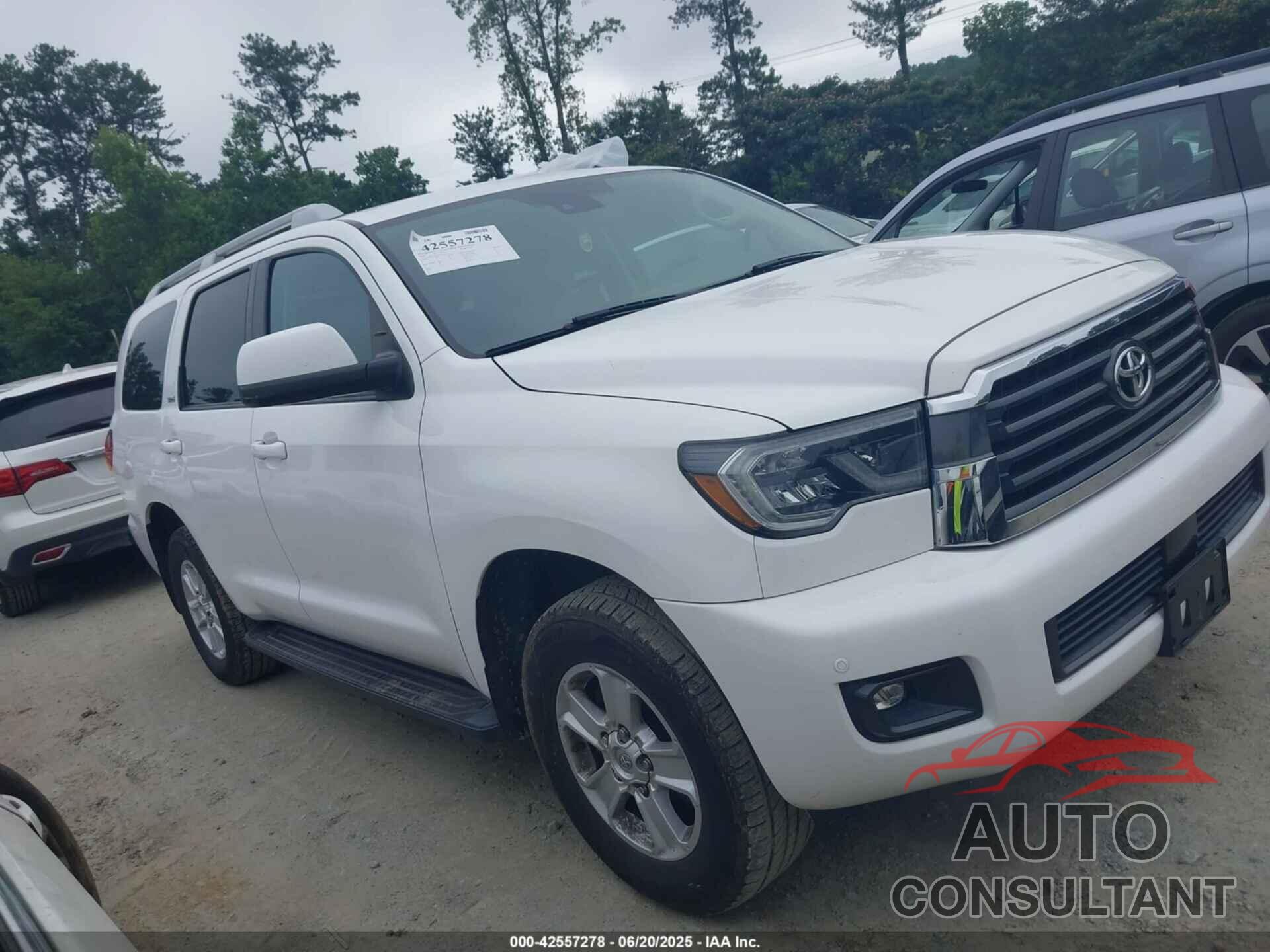 TOYOTA SEQUOIA 2019 - 5TDBY5G16KS170151