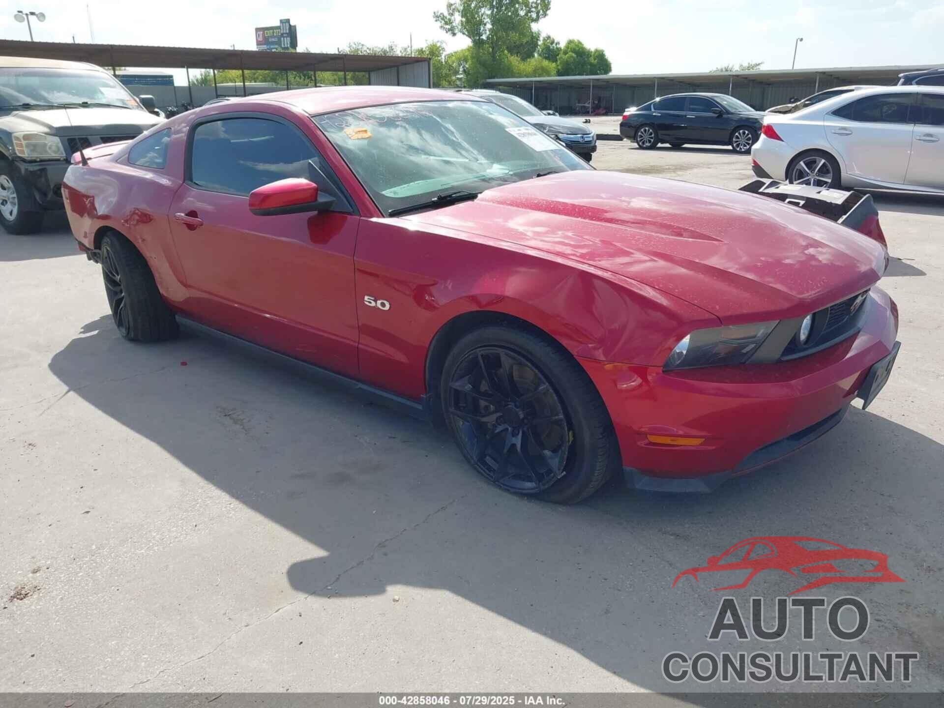 FORD MUSTANG 2011 - 1ZVBP8CF3B5134023