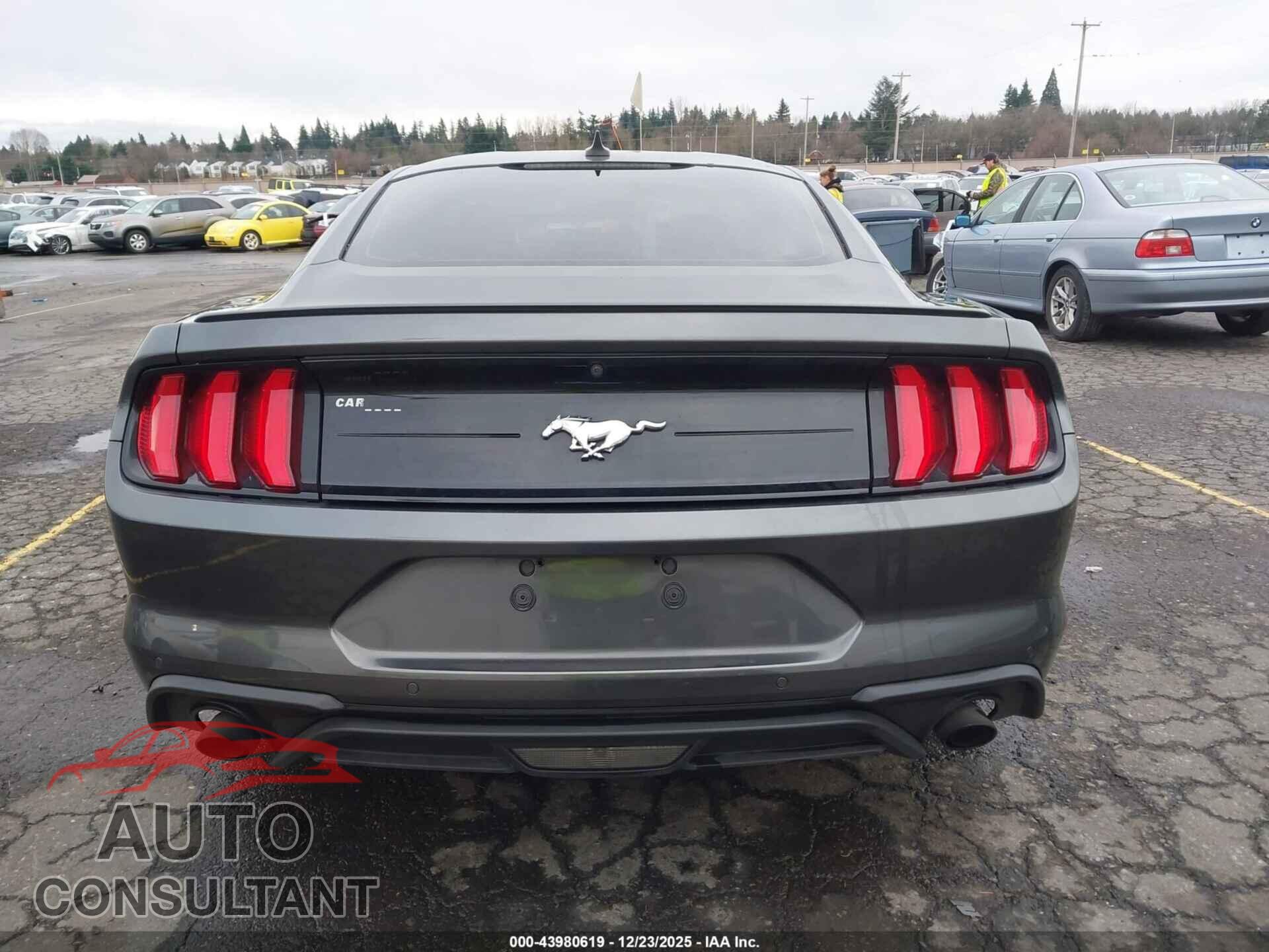 FORD MUSTANG 2020 - 1FA6P8TH1L5183458