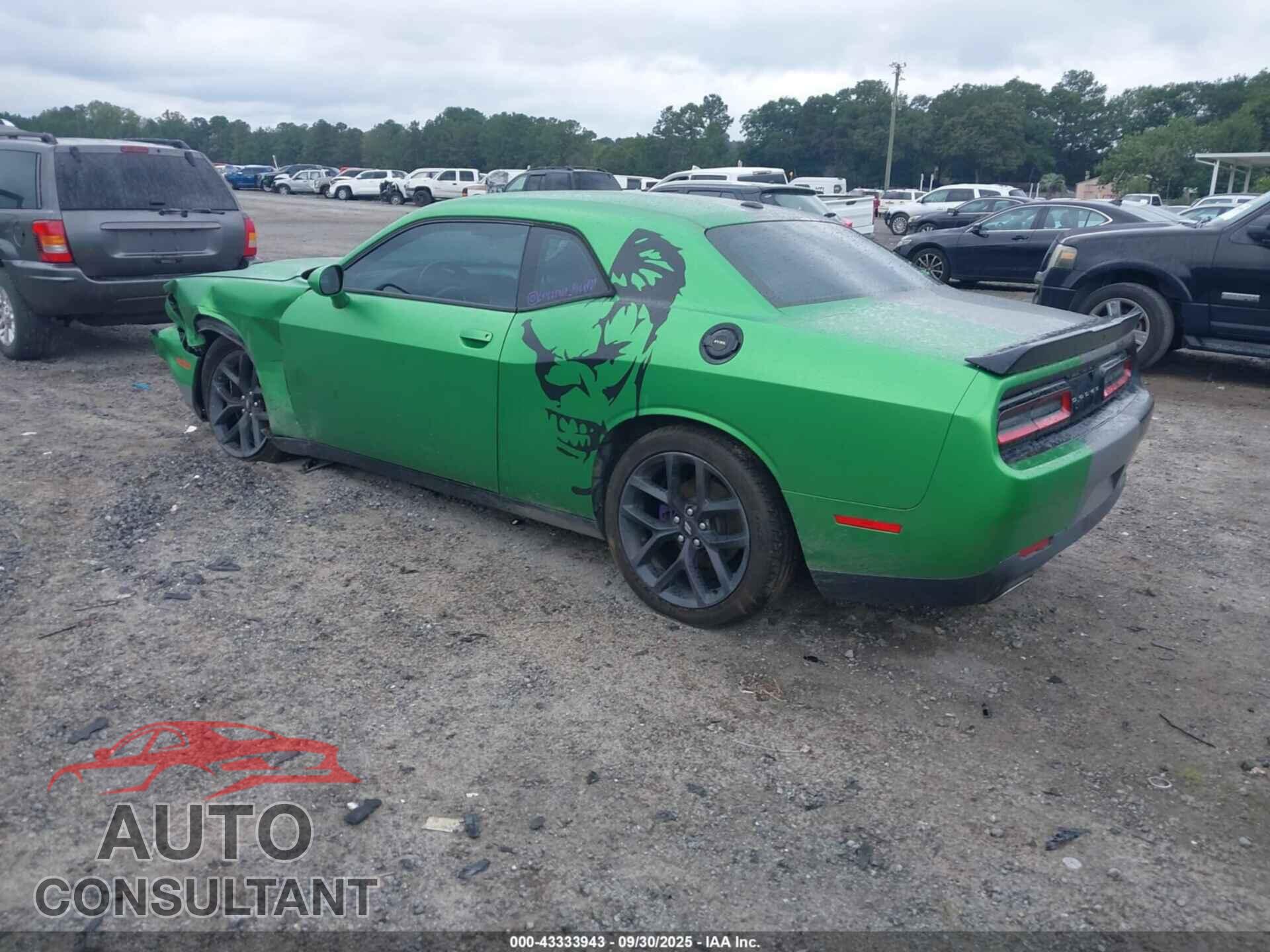 DODGE CHALLENGER 2019 - 2C3CDZAG4KH716954