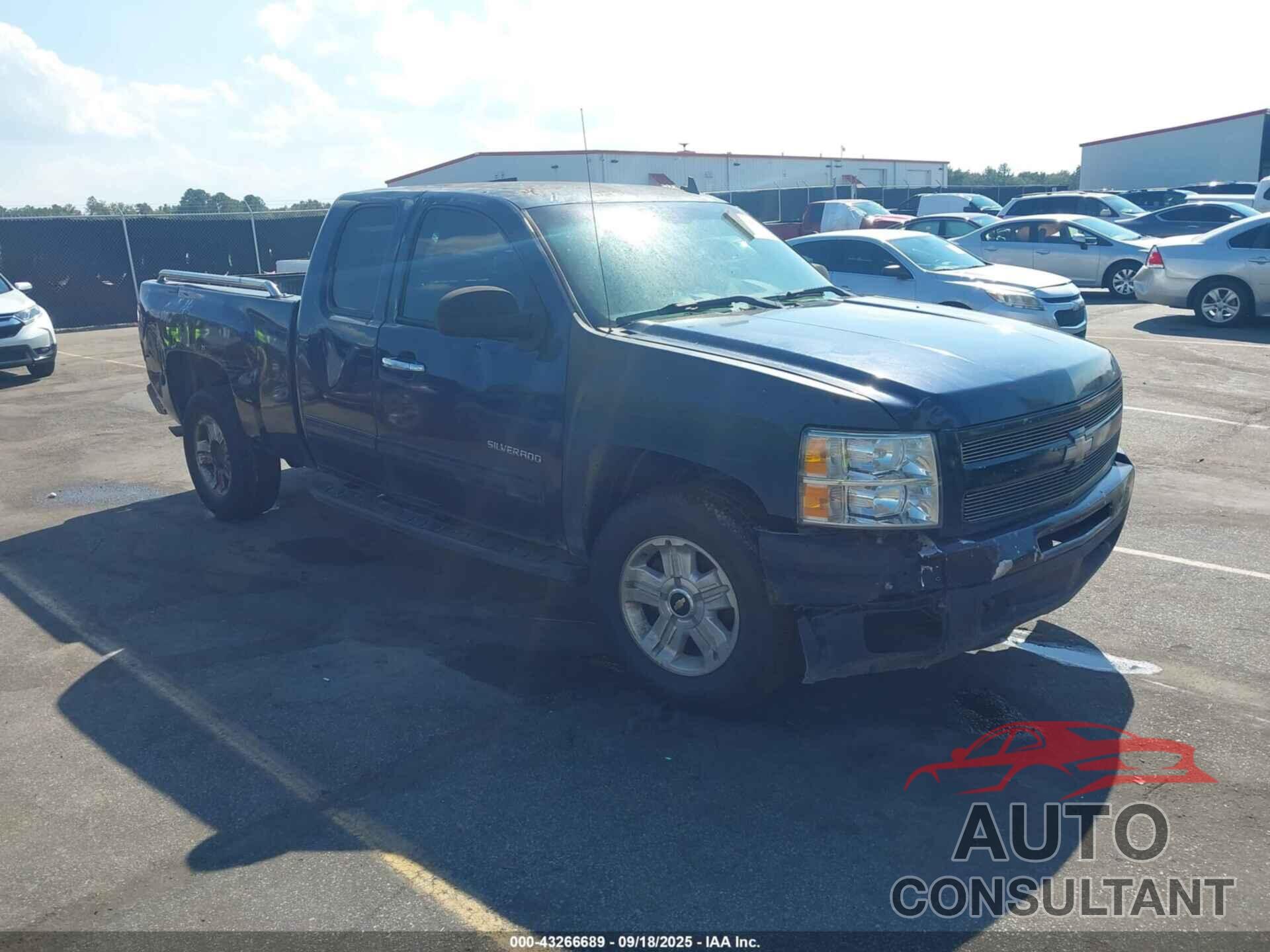 CHEVROLET SILVERADO 1500 2009 - 1GCEC29069Z144172