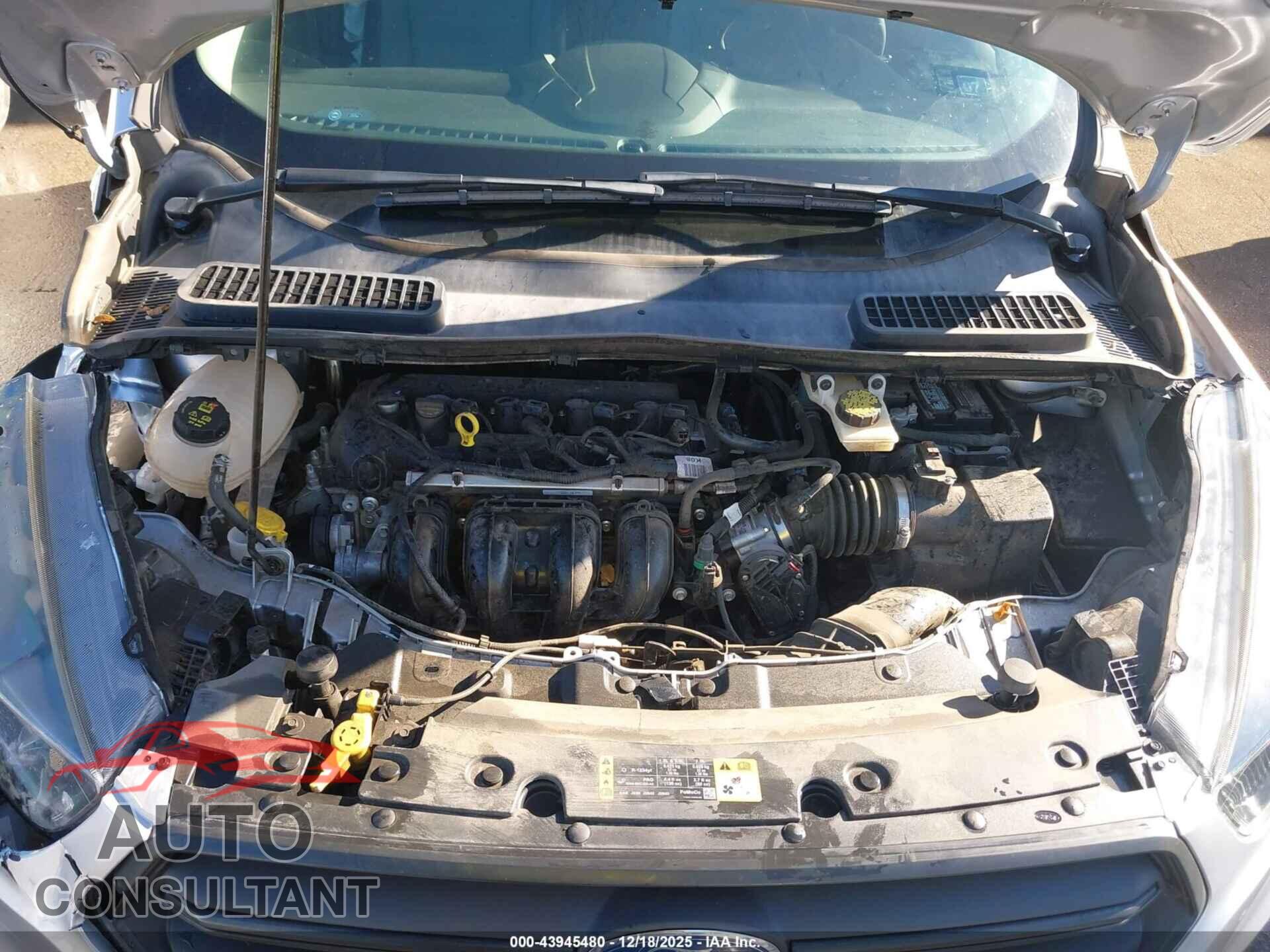 FORD ESCAPE 2019 - 1FMCU0F77KUB00965