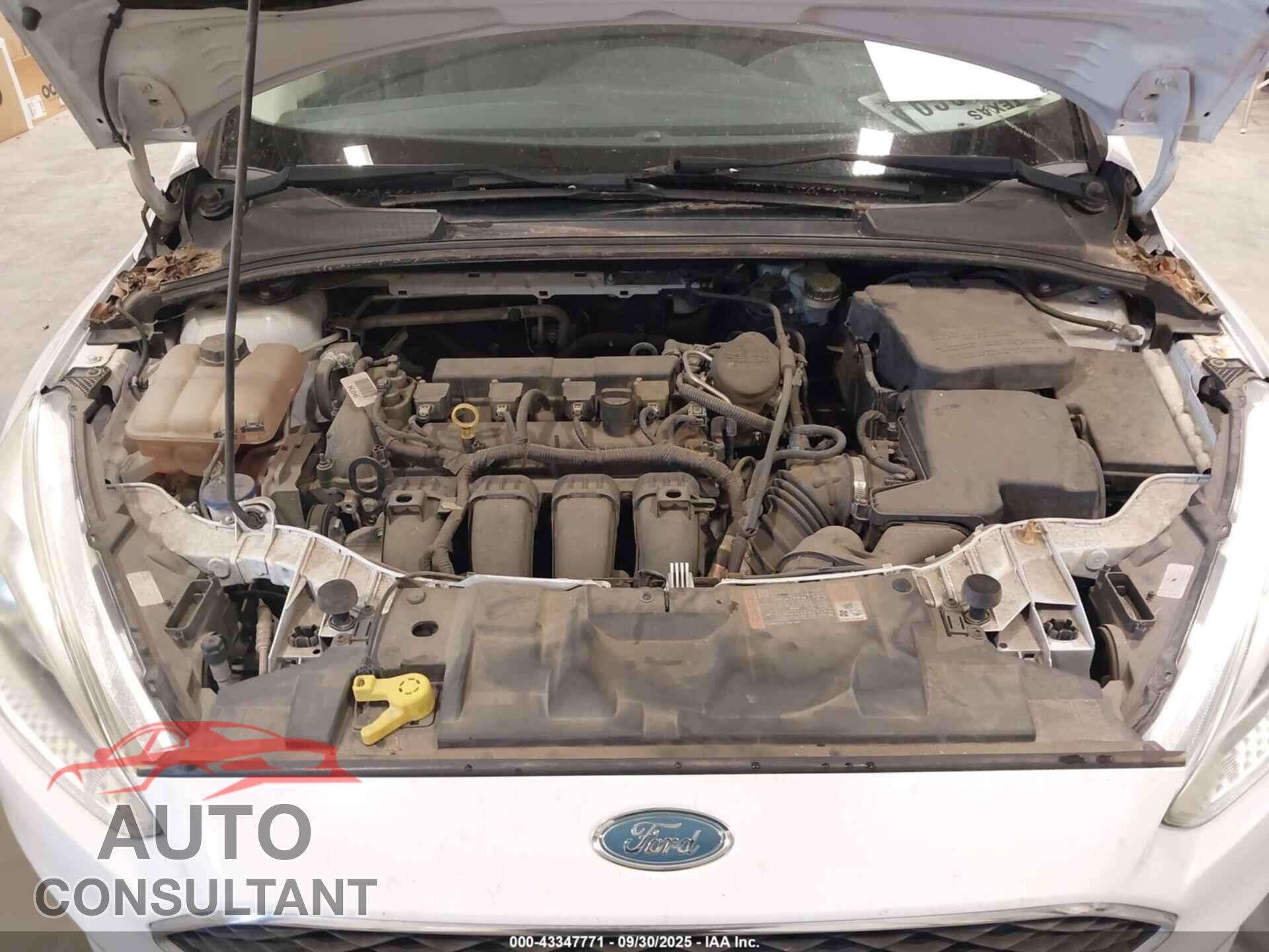 FORD FOCUS 2015 - 1FADP3F29FL313780