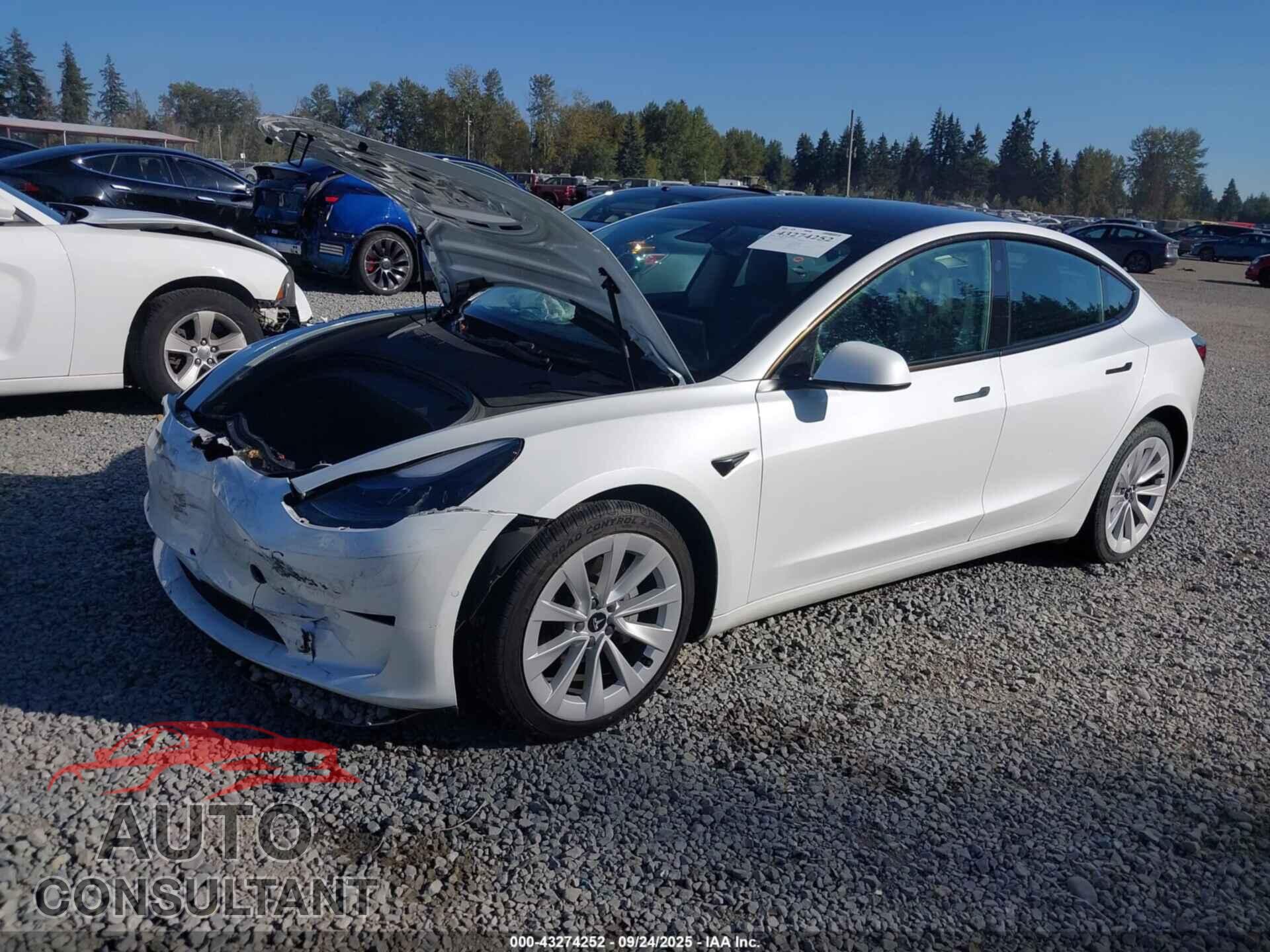 TESLA MODEL 3 2021 - 5YJ3E1EA2MF918331