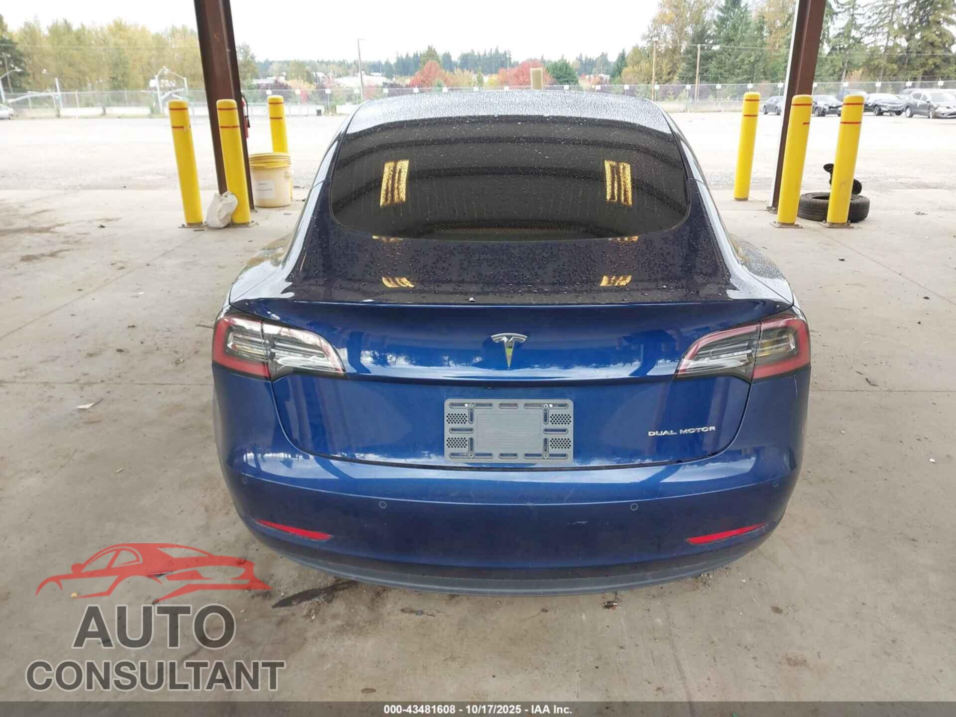 TESLA MODEL 3 2019 - 5YJ3E1EB2KF406767