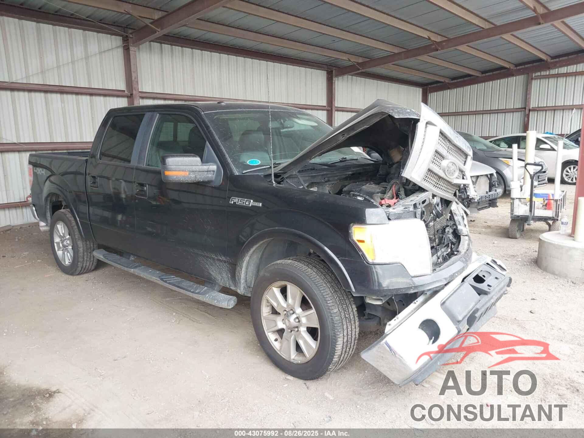 FORD F-150 2010 - 1FTFW1EV0AFA48289