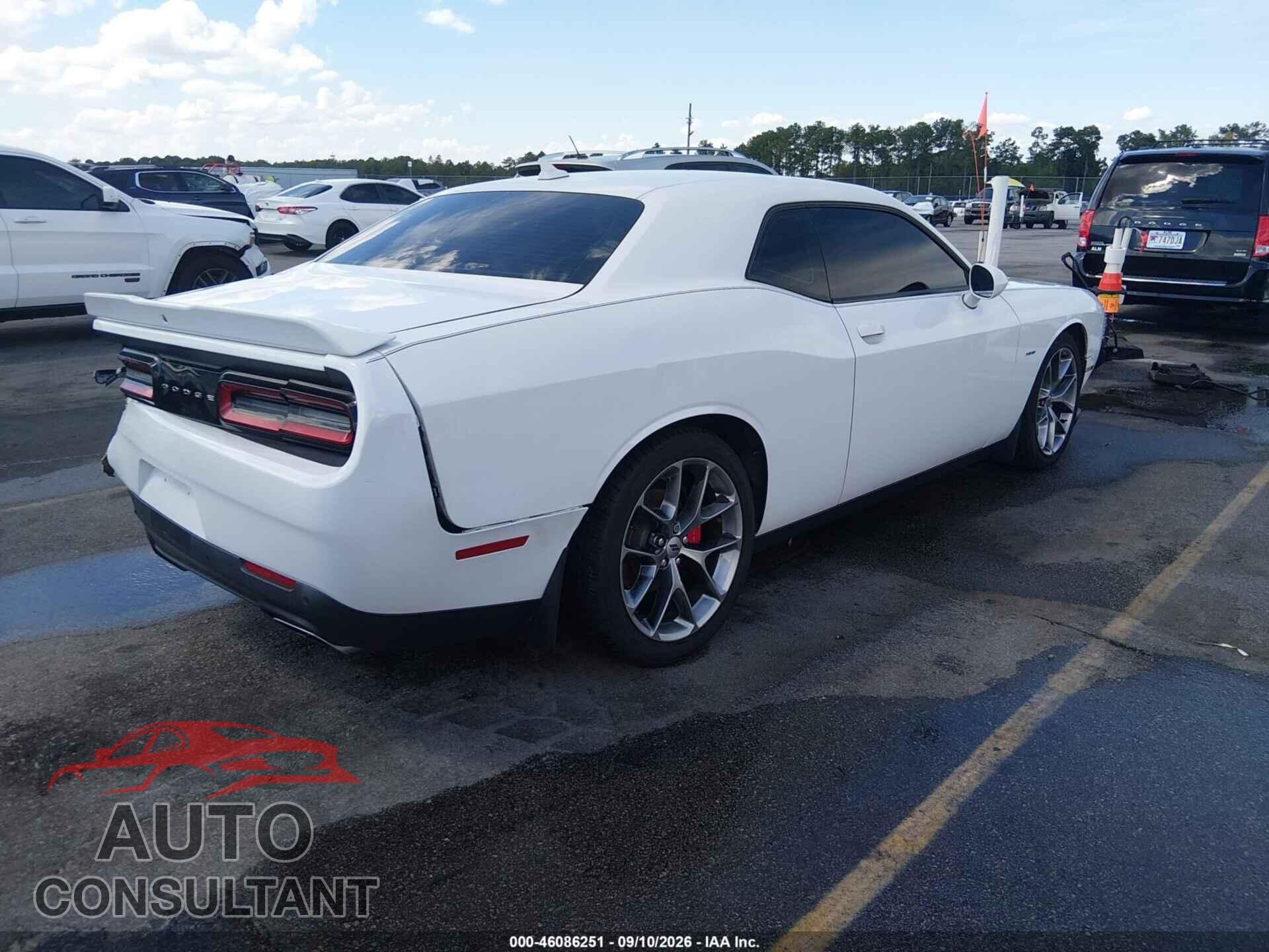 DODGE CHALLENGER 2019 - 2C3CDZBT8KH596538
