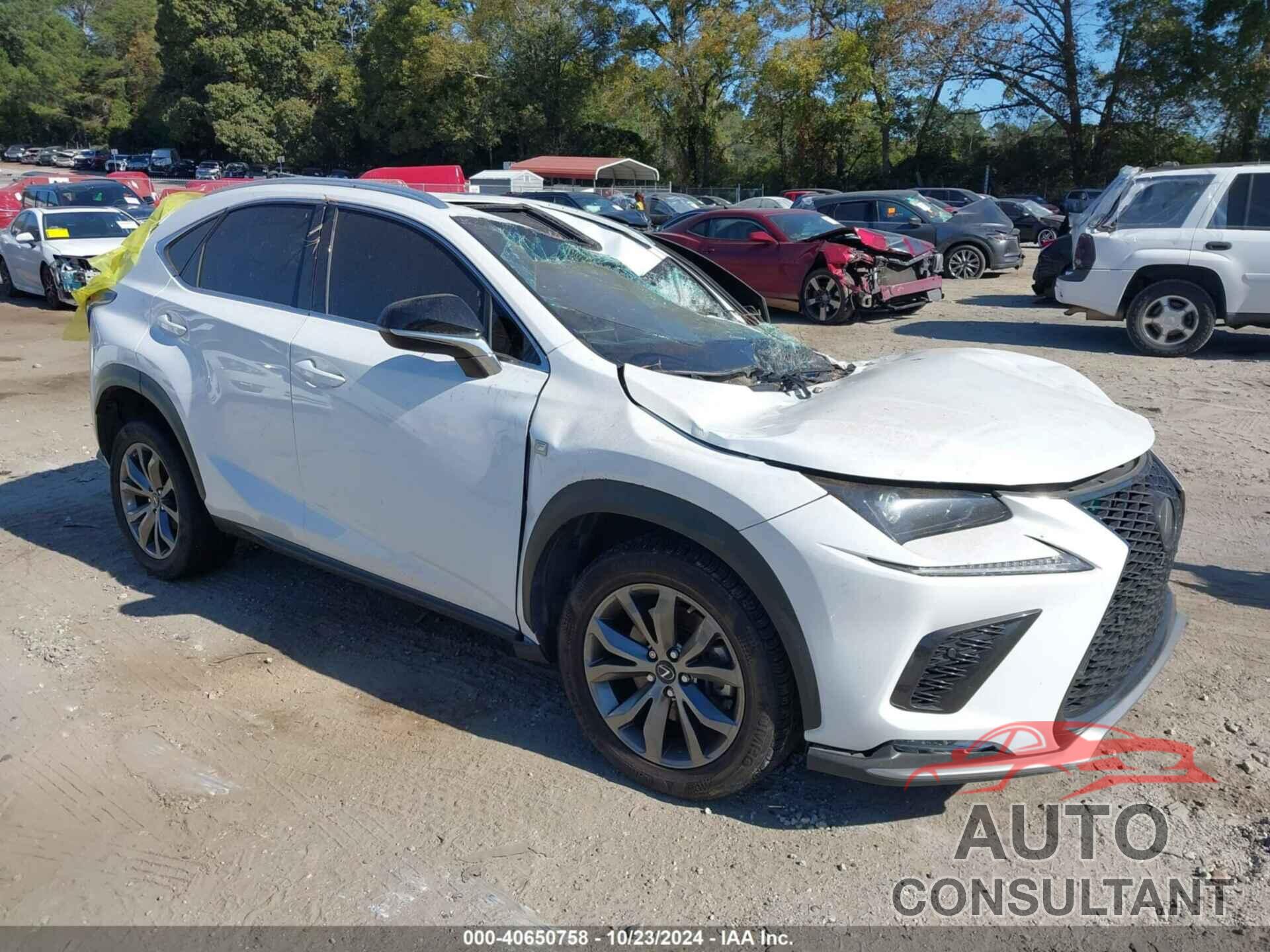 LEXUS NX 300 2021 - JTJSARBZ5M5022832