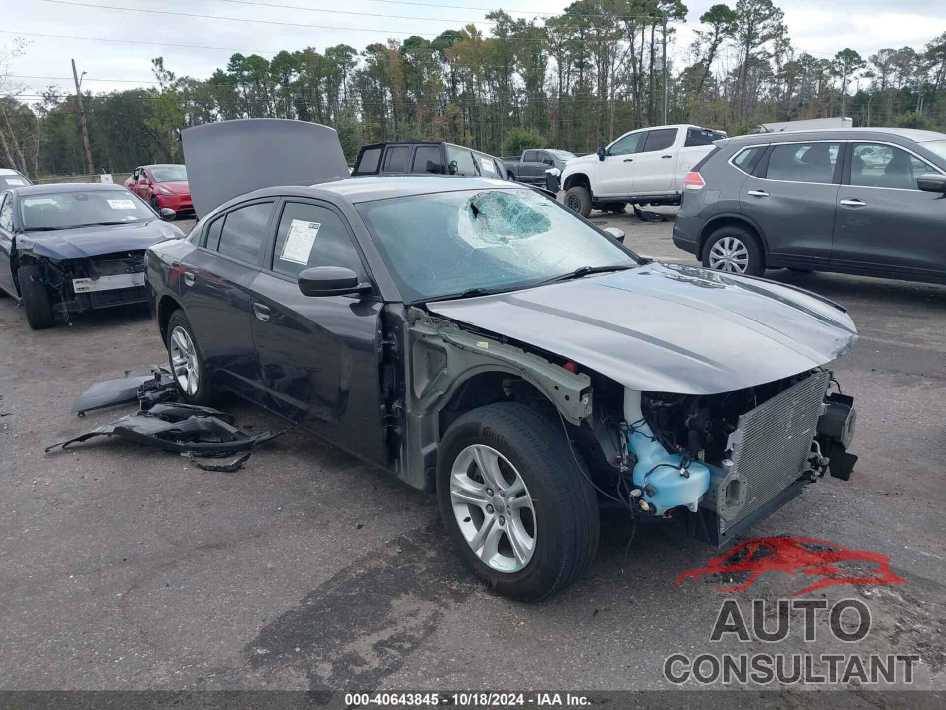 DODGE CHARGER 2020 - 2C3CDXBG9LH126656