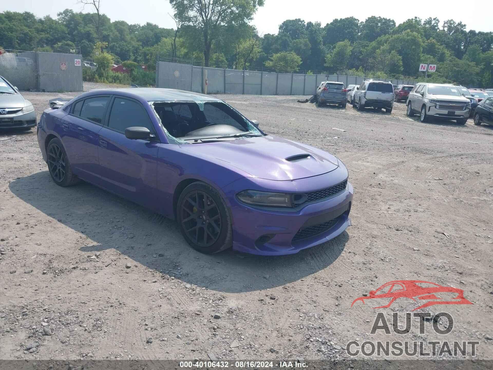 DODGE CHARGER 2019 - 2C3CDXGJ2KH696677