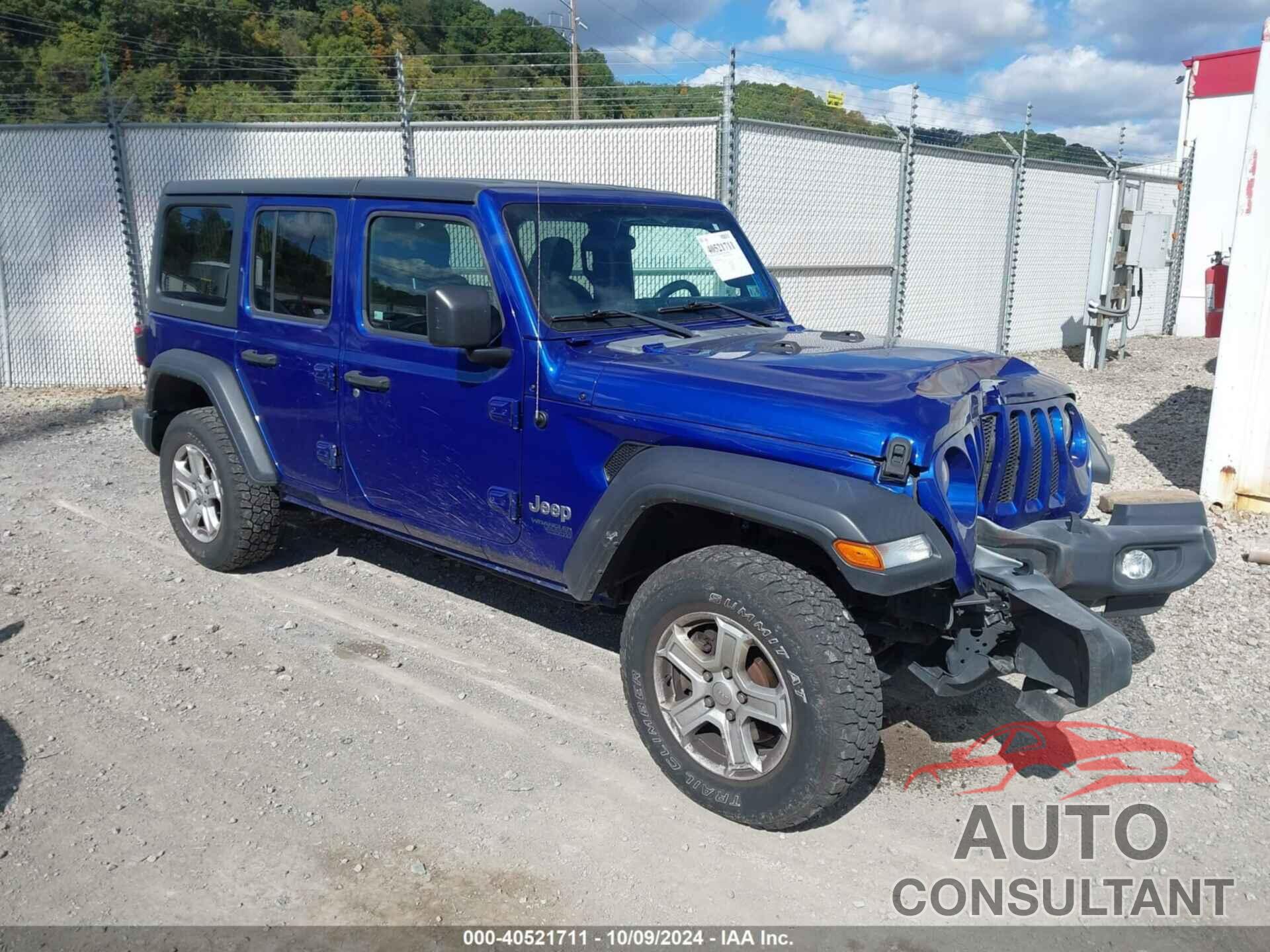 JEEP WRANGLER UNLIMITED 2019 - 1C4HJXDG1KW662895