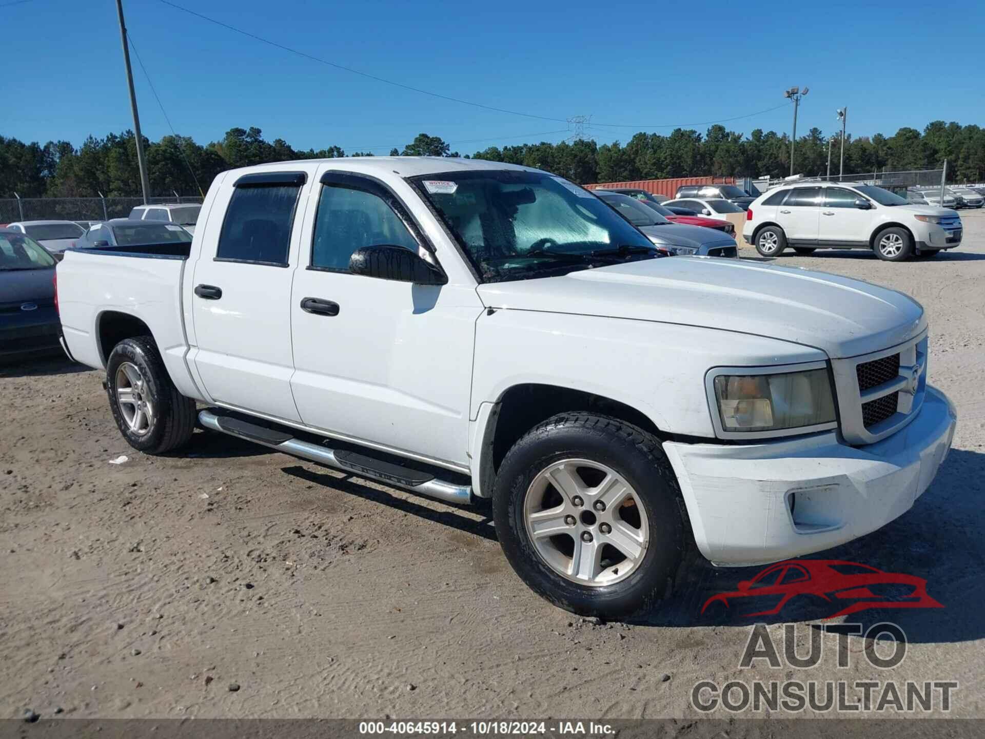 DODGE DAKOTA 2010 - 1D7CE3GK7AS147550