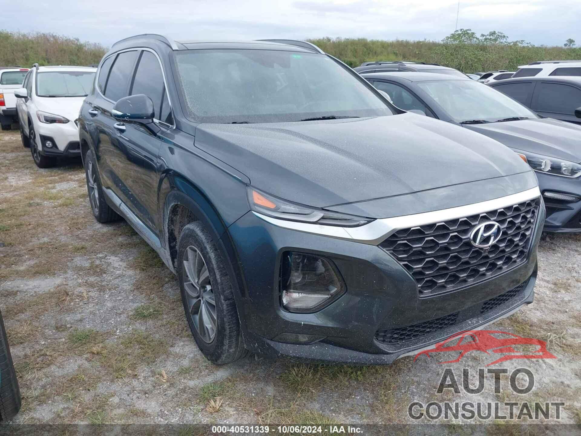 HYUNDAI SANTA FE 2019 - 5NMS53AD4KH125132