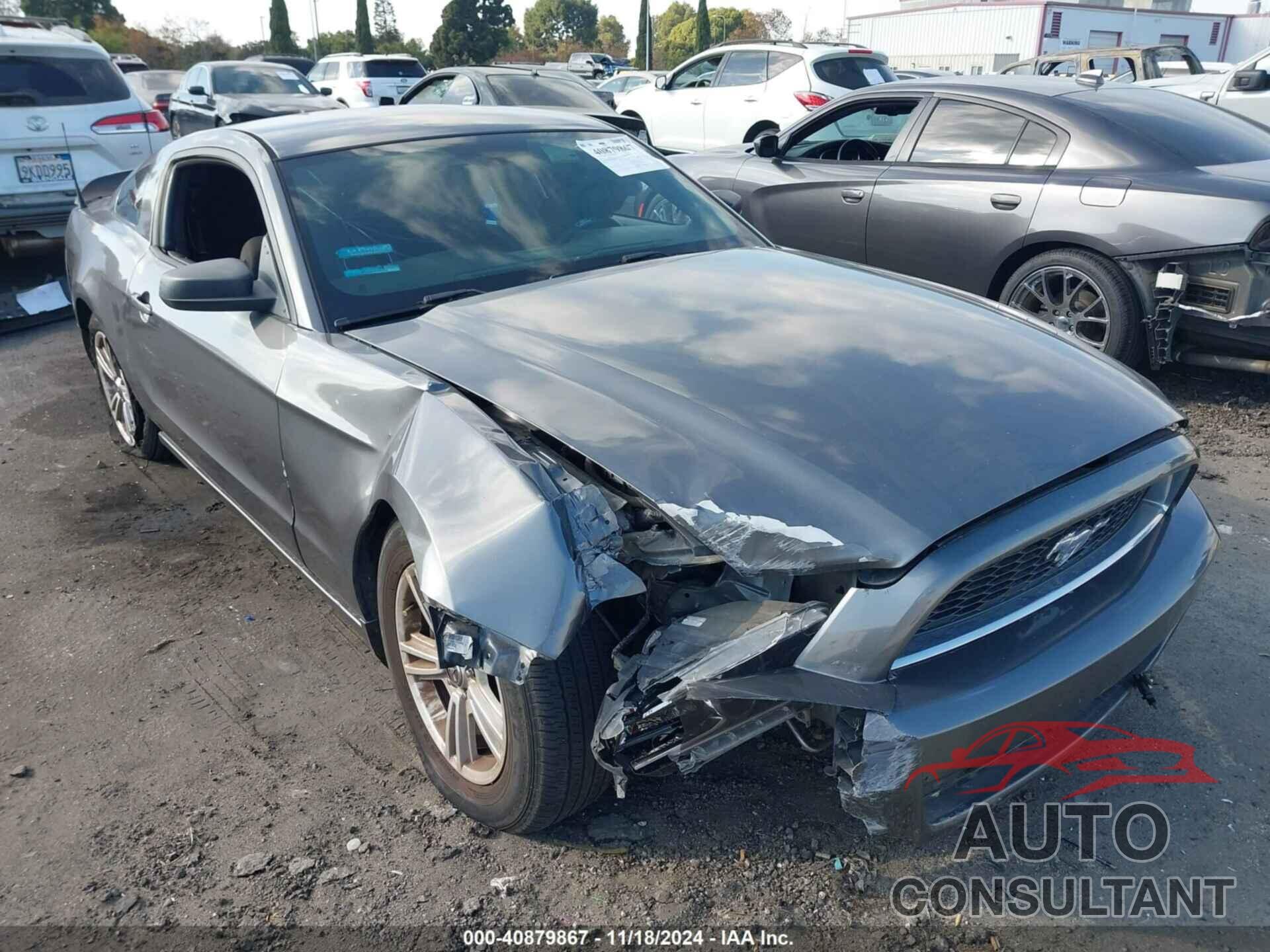 FORD MUSTANG 2014 - 1ZVBP8AM6E5250287