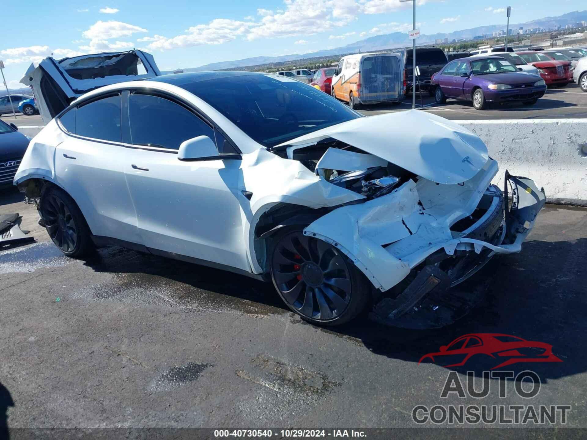 TESLA MODEL Y 2024 - 7SAYGDEF2RF057773
