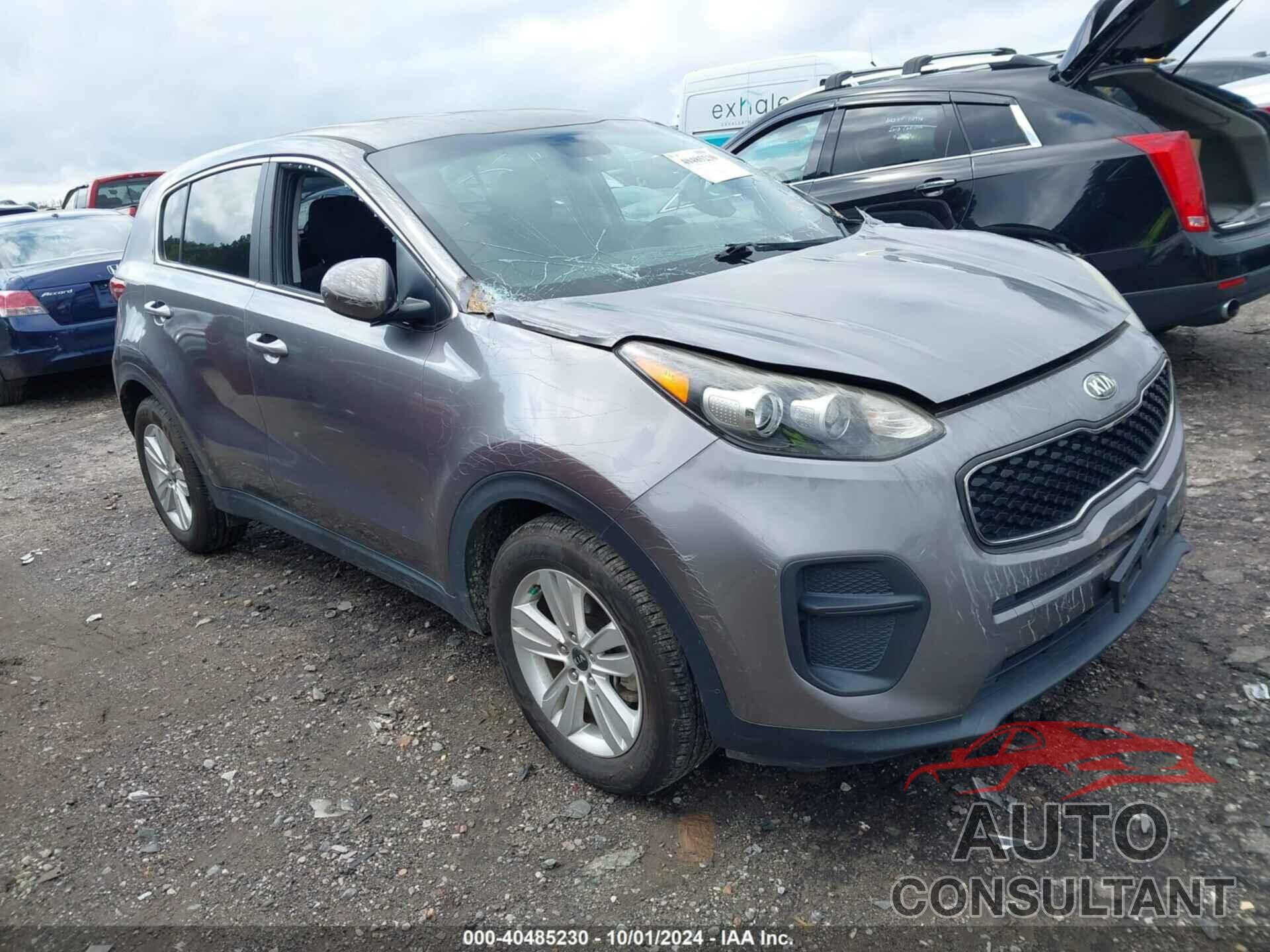 KIA SPORTAGE 2019 - KNDPM3AC2K7508414