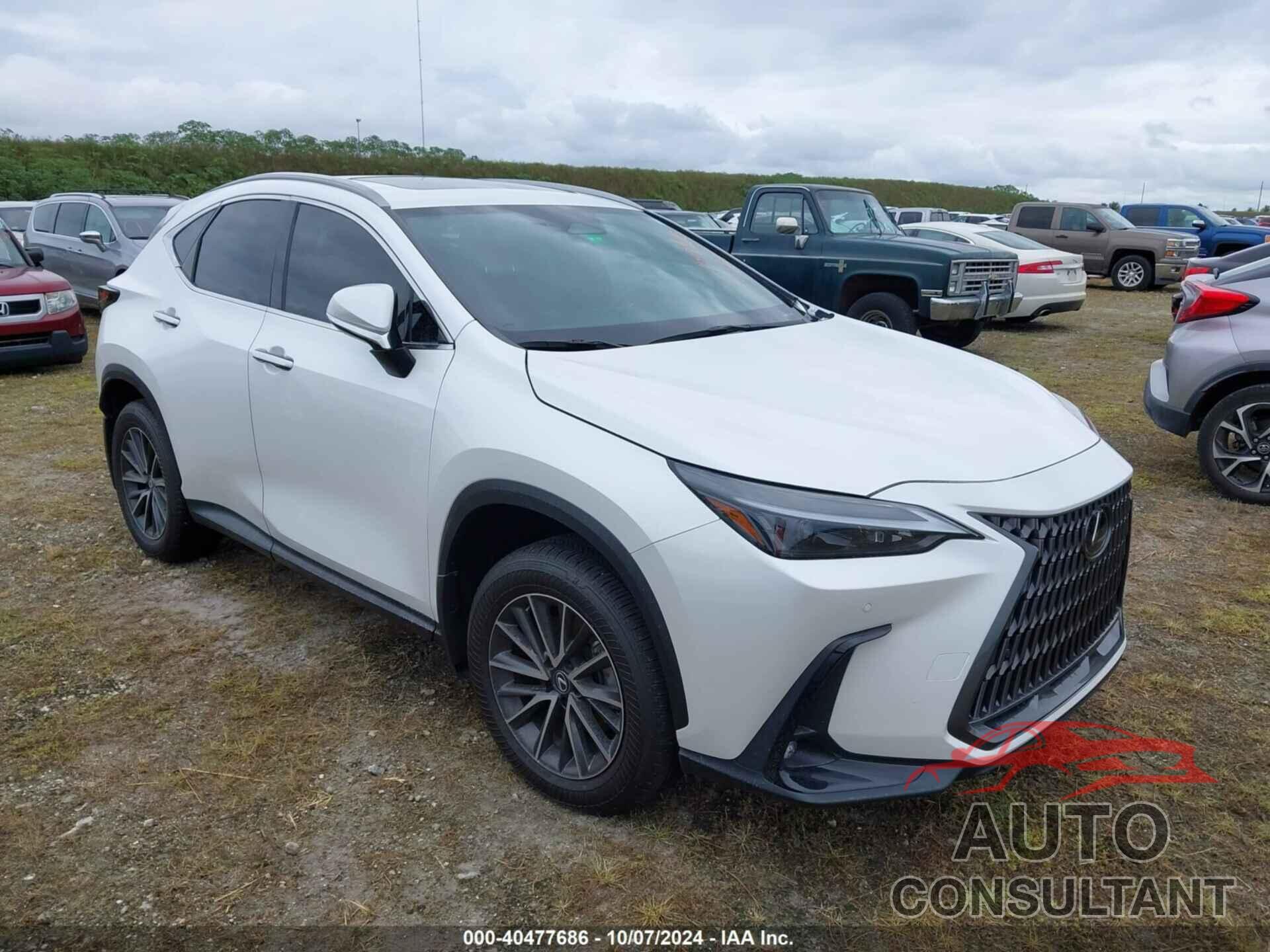 LEXUS NX 2024 - 2T2GDCAZ1RC011217