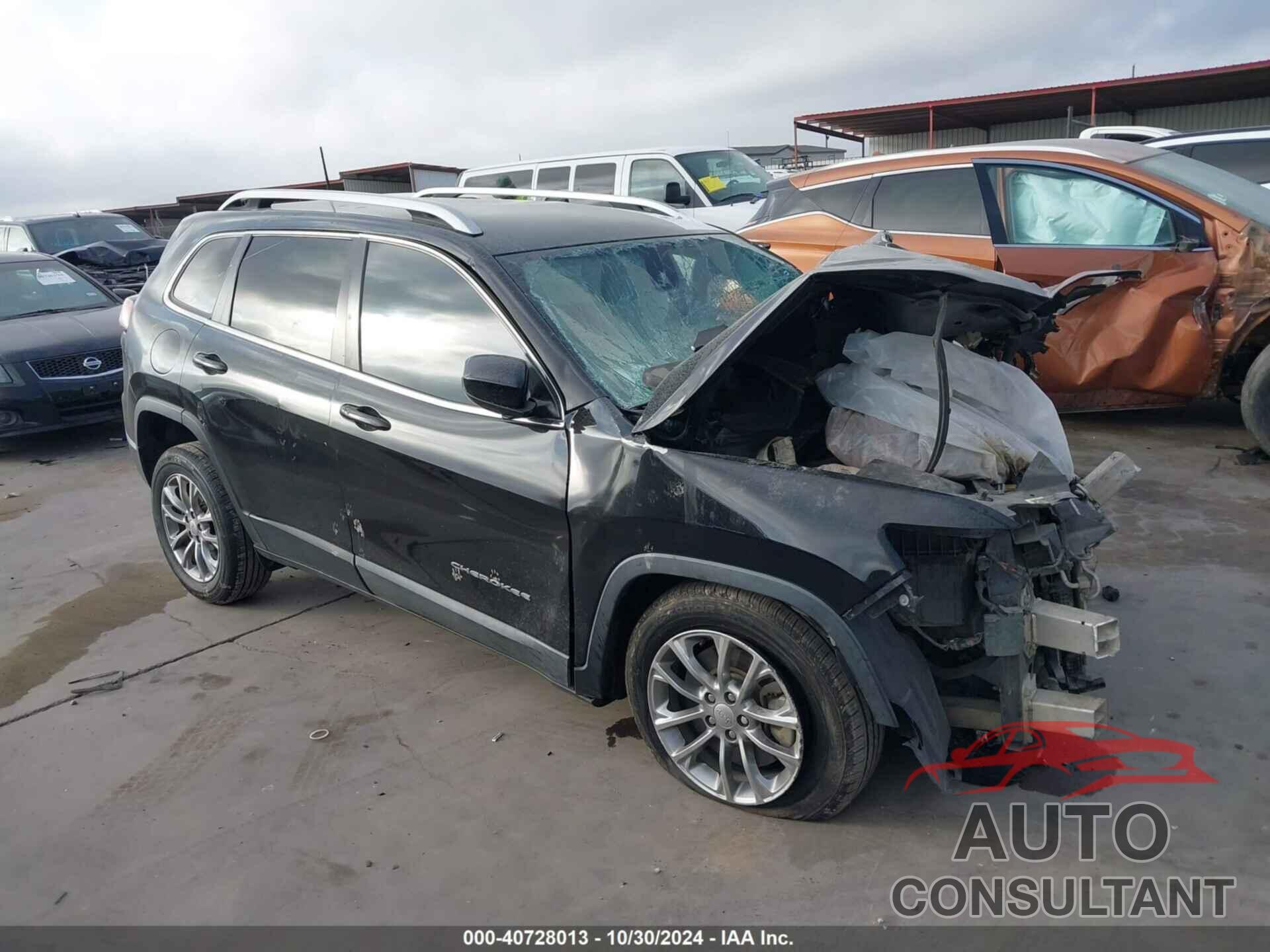 JEEP CHEROKEE 2019 - 1C4PJLLB1KD204196