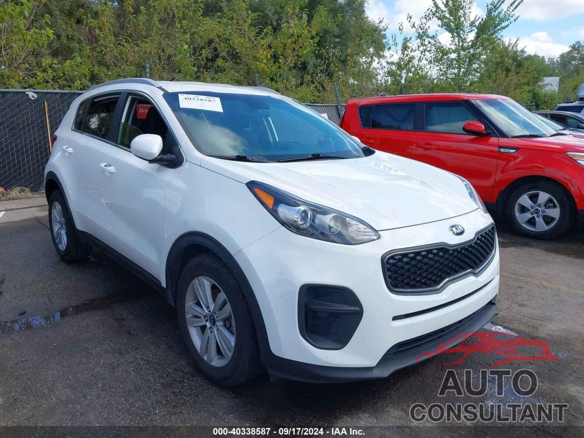 KIA SPORTAGE 2019 - KNDPM3AC0K7599120