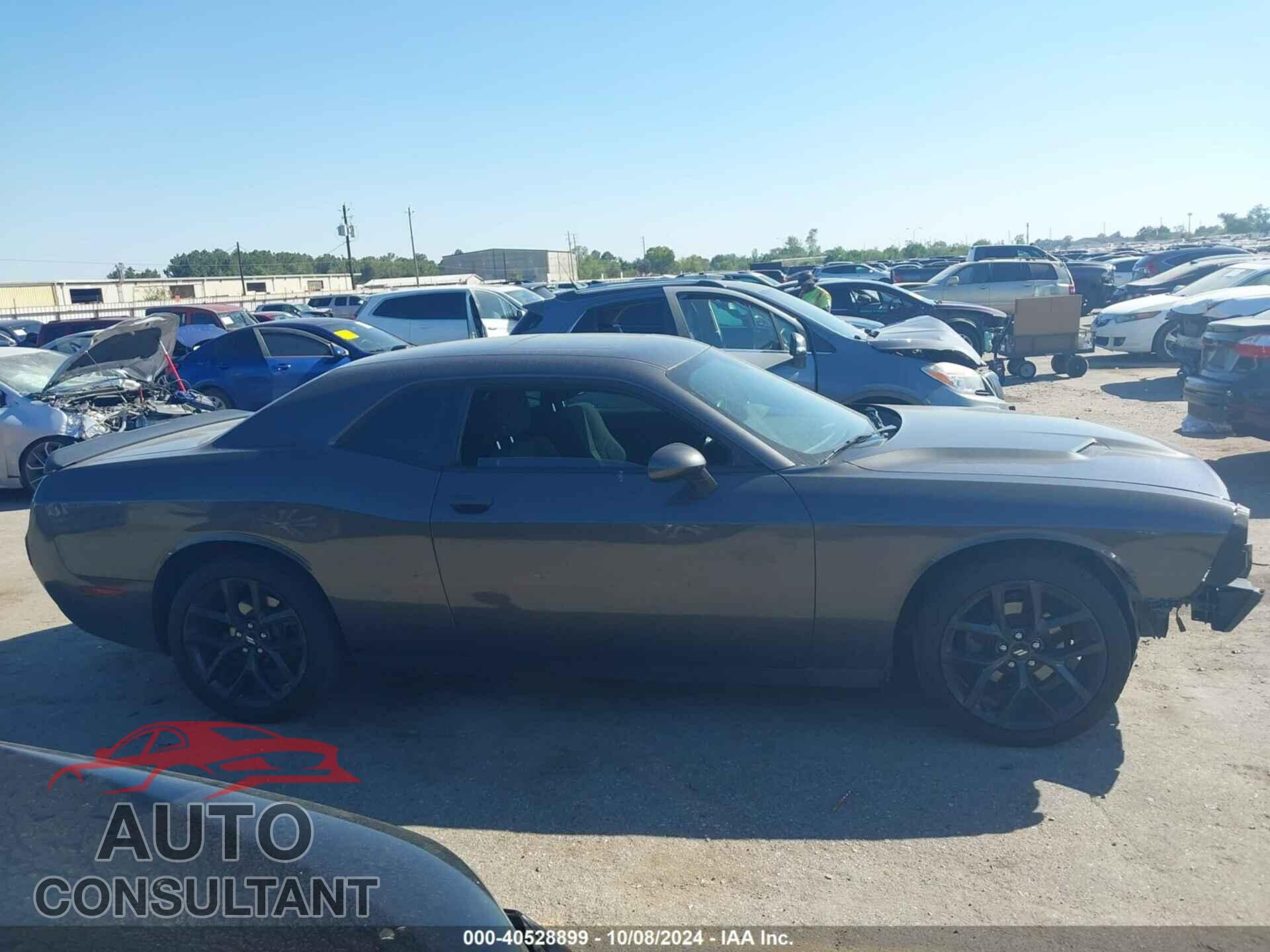 DODGE CHALLENGER 2019 - 2C3CDZAG3KH503395