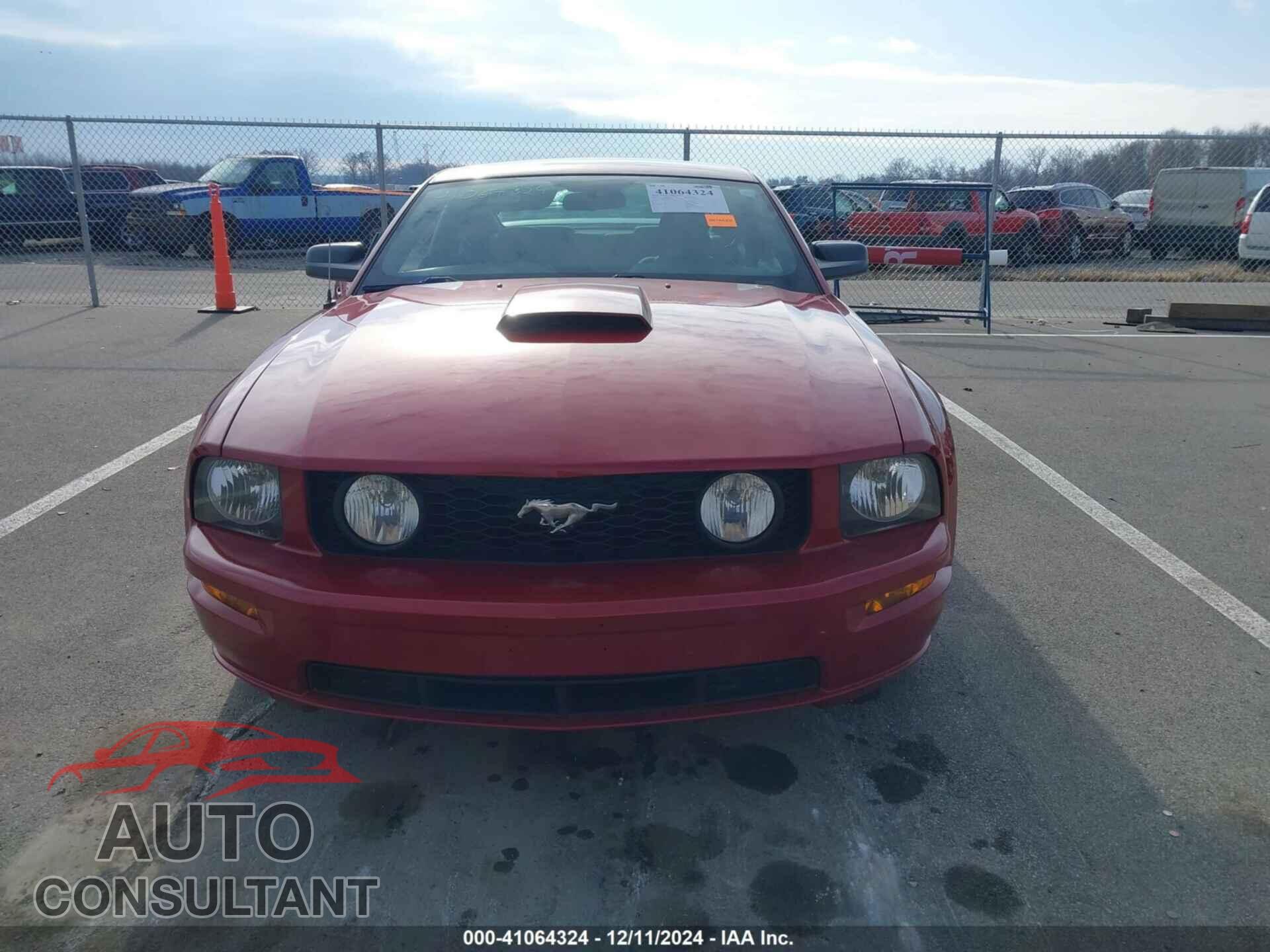 FORD MUSTANG 2009 - 1ZVHT82H695127635