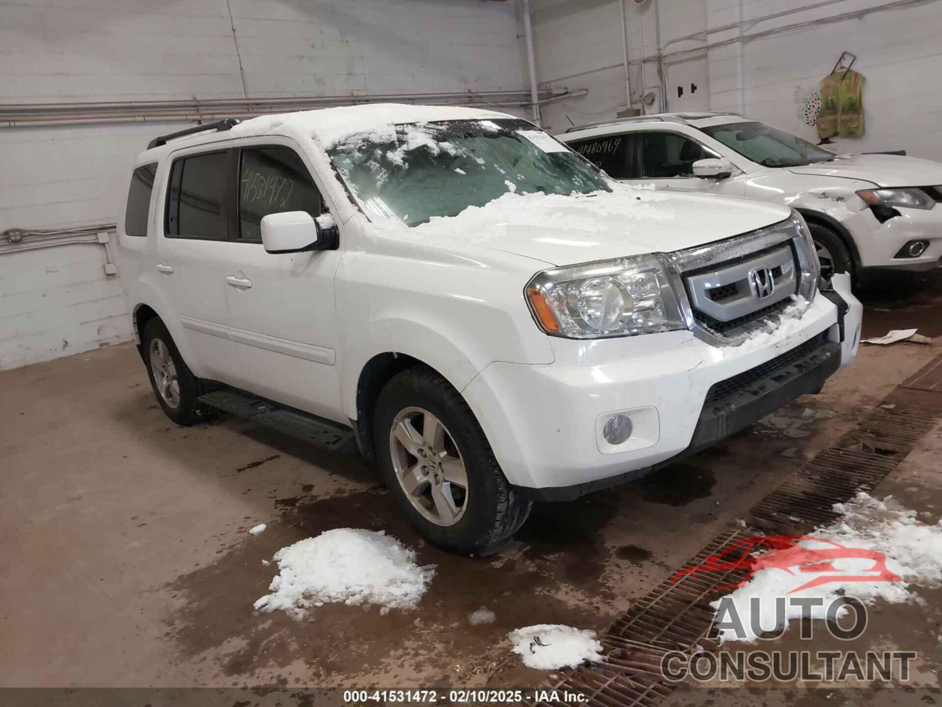 HONDA PILOT 2010 - 5FNYF4H64AB015928