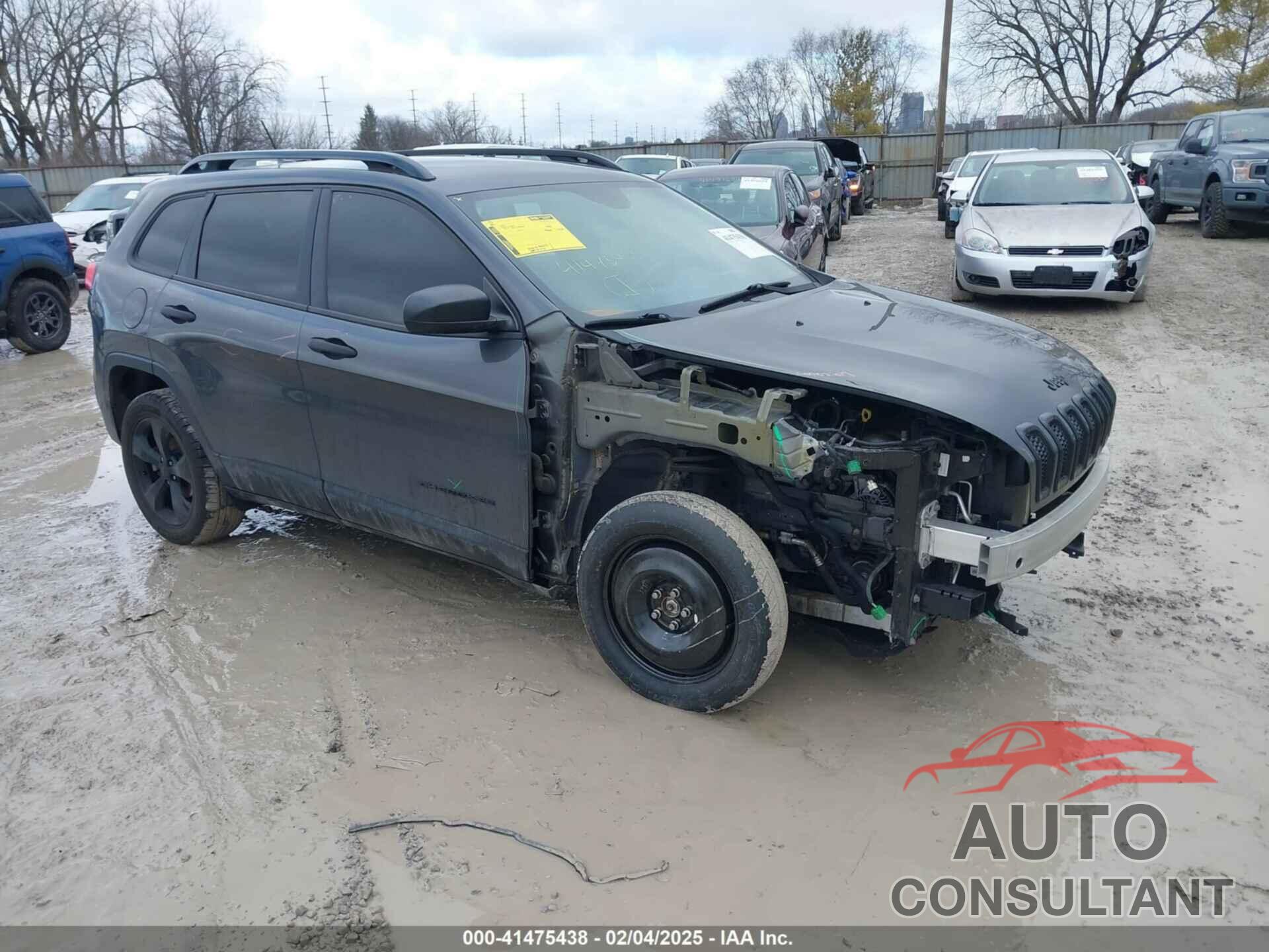 JEEP CHEROKEE 2017 - 1C4PJLAB5HW592694