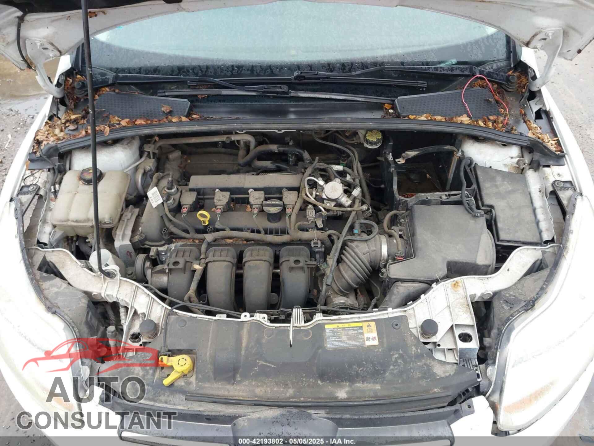 FORD FOCUS 2014 - 1FADP3K25EL140375